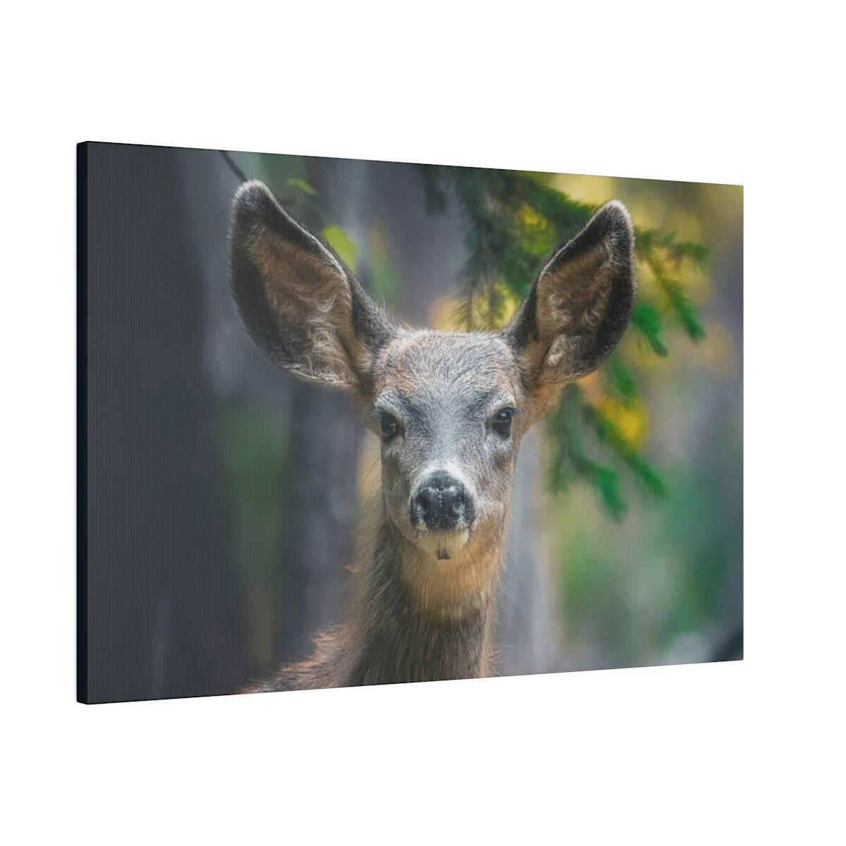 Front view of a canvas print featuring a closeup shot of an adorable, inquisitive deer fawn nestled in the forest. Premium wildlife photography wall art.