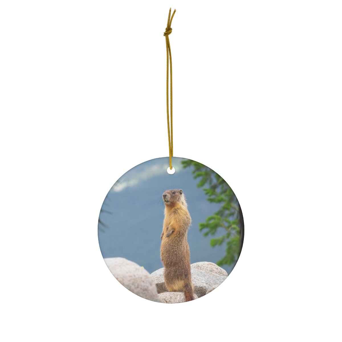Double-sided porcelain ornament showcasing a standing marmot on one side and a sitting marmot on the other.