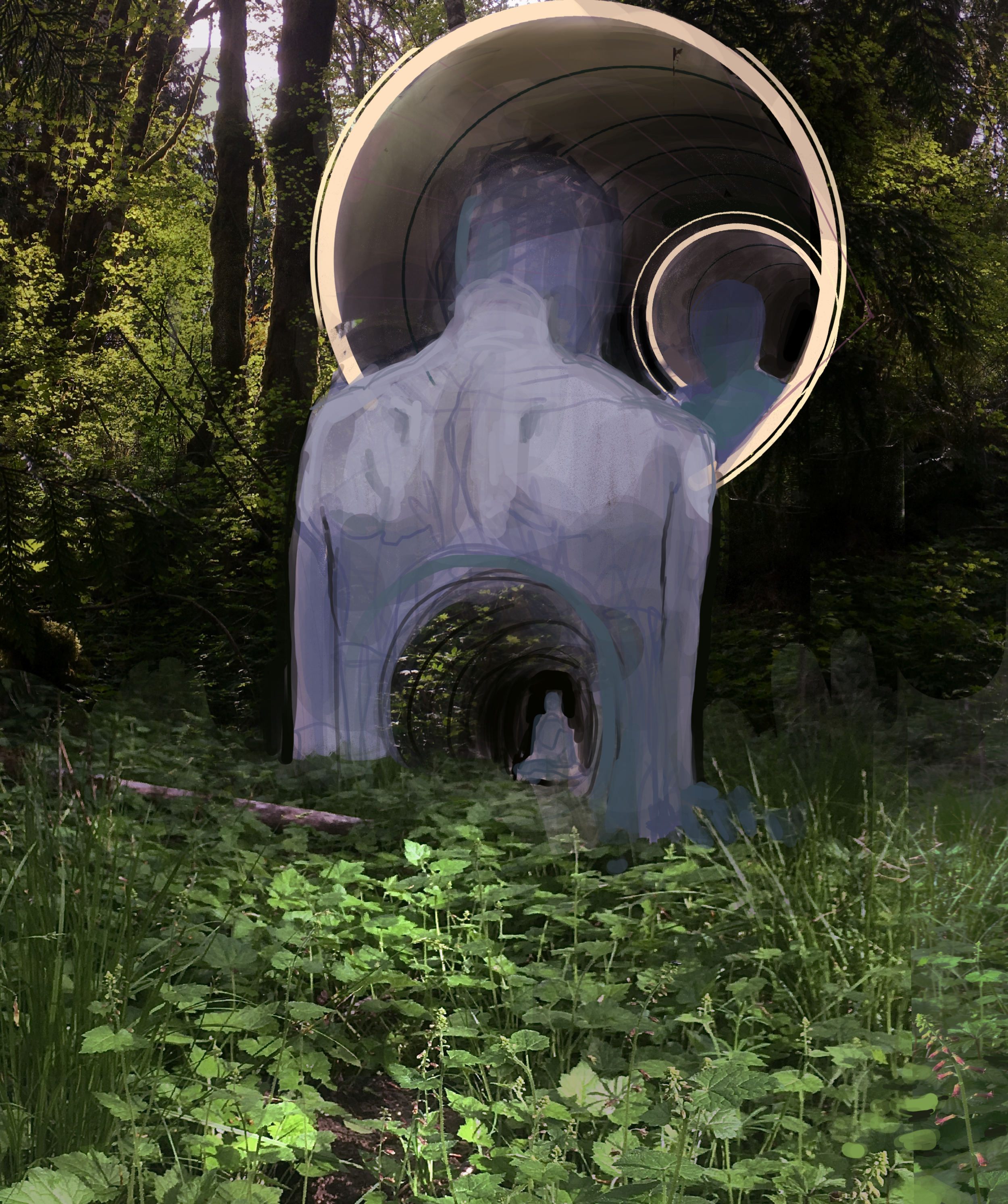 Reflections.PNG