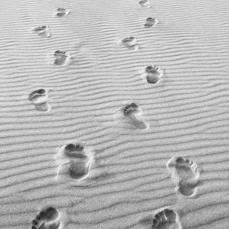 Footprints in the sand