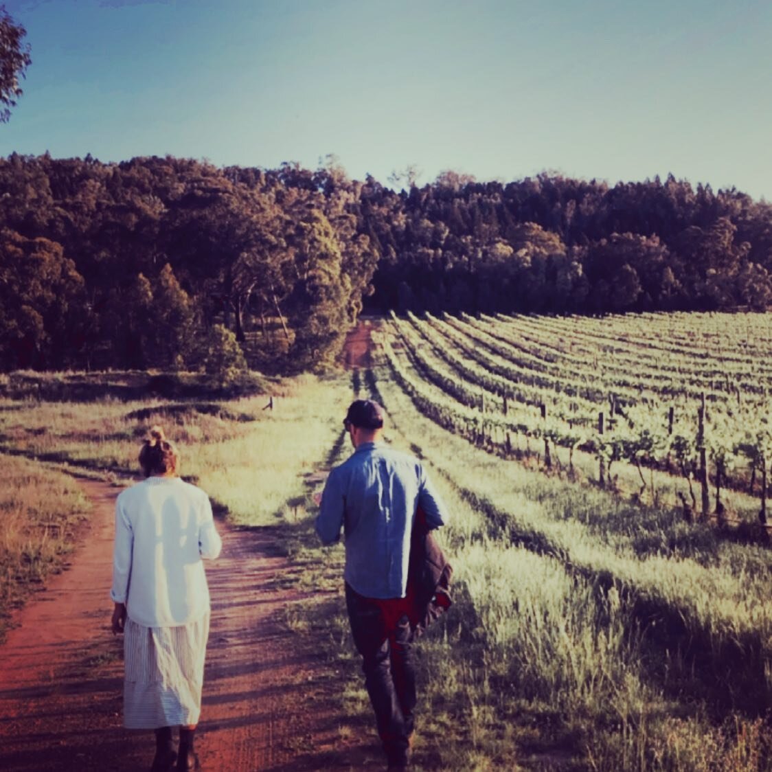Walking to Friday drinks @rosbymudgee with @mwemma and ANK after a monster week. A few very exciting things to share over the coming weeks including some developments on our portfolio of micro tourist accommodation projects. Big thanks to the CAARCH 