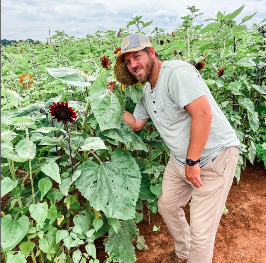 Hubert Family Farms Fresh Cut Tulips & Sunflowers