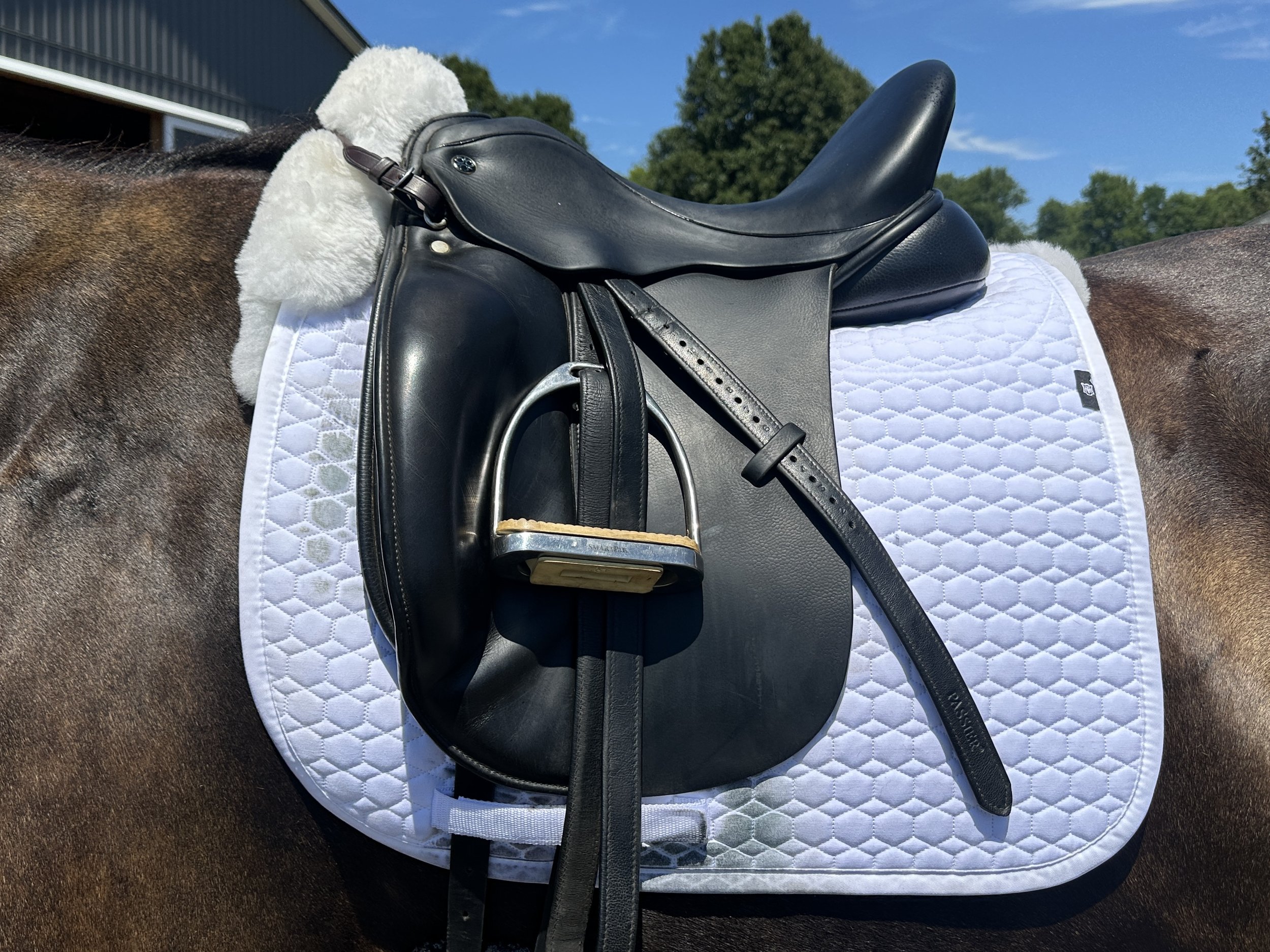 Trilogy Saddle Review: Trilogy Verago Dressage Saddle