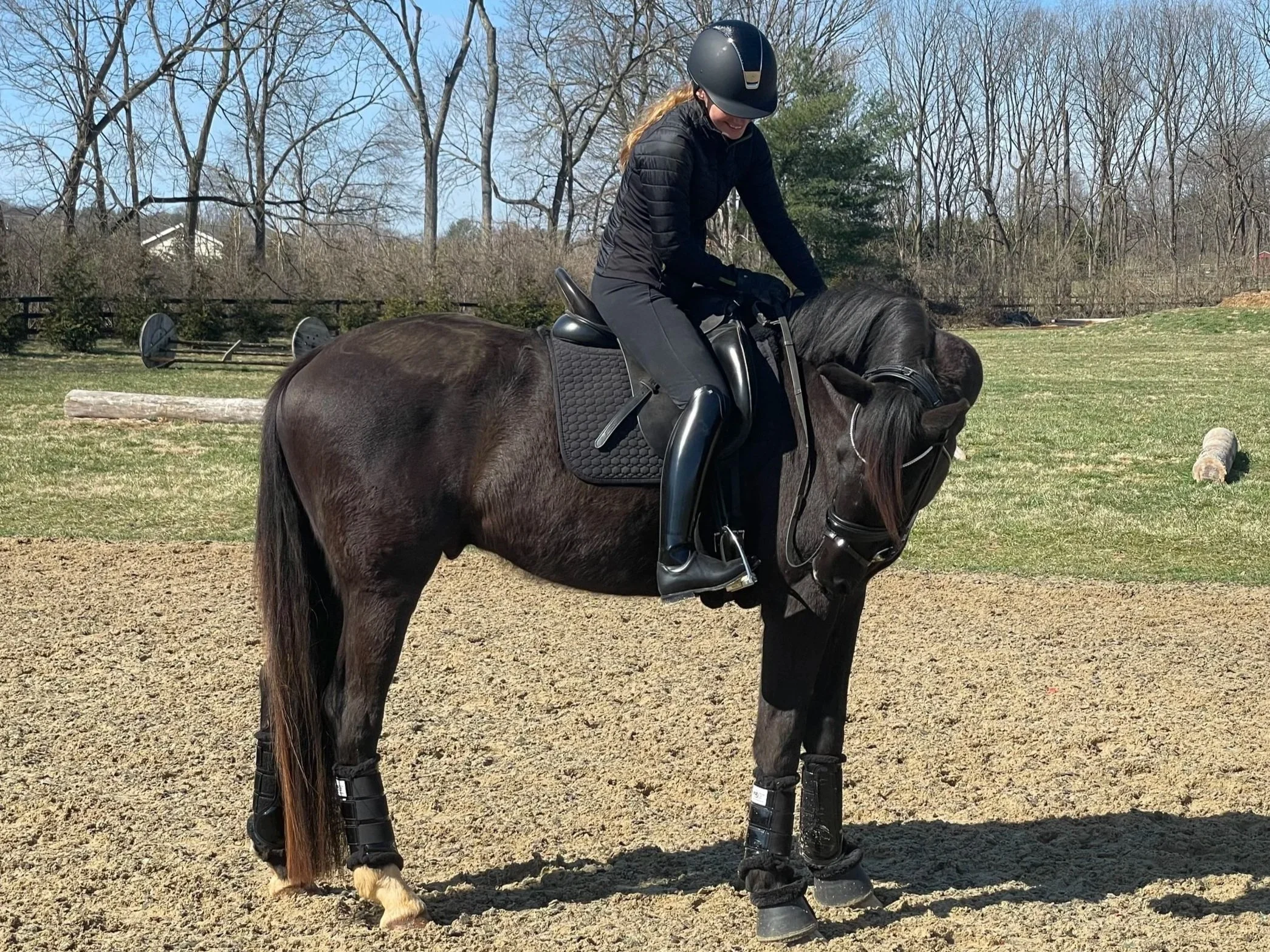 Trilogy Saddle Review: Trilogy Verago Dressage Saddle