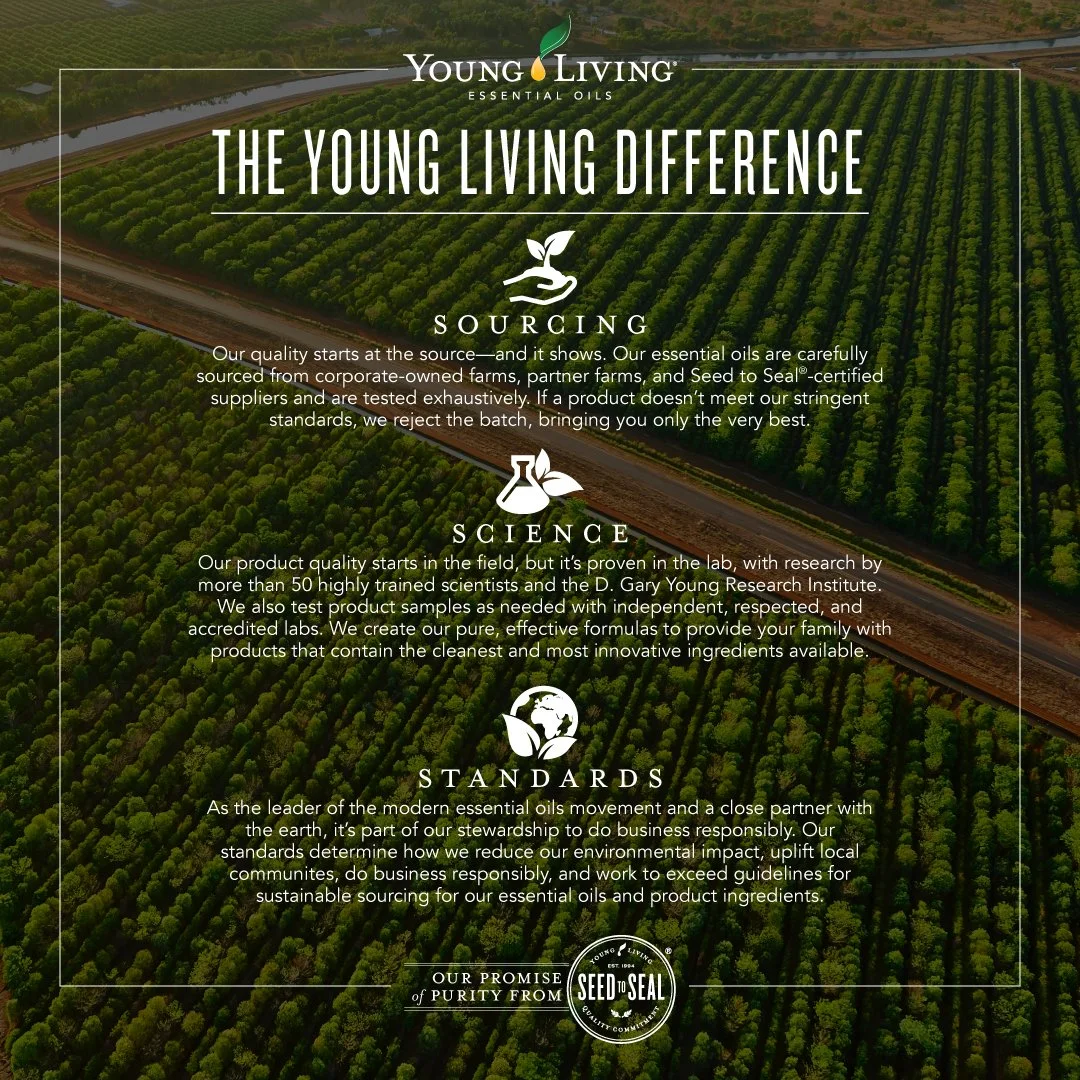 Seed-to-Seal-The-YL-Difference_Shareable-Micrographic-Facebook_US.jpg