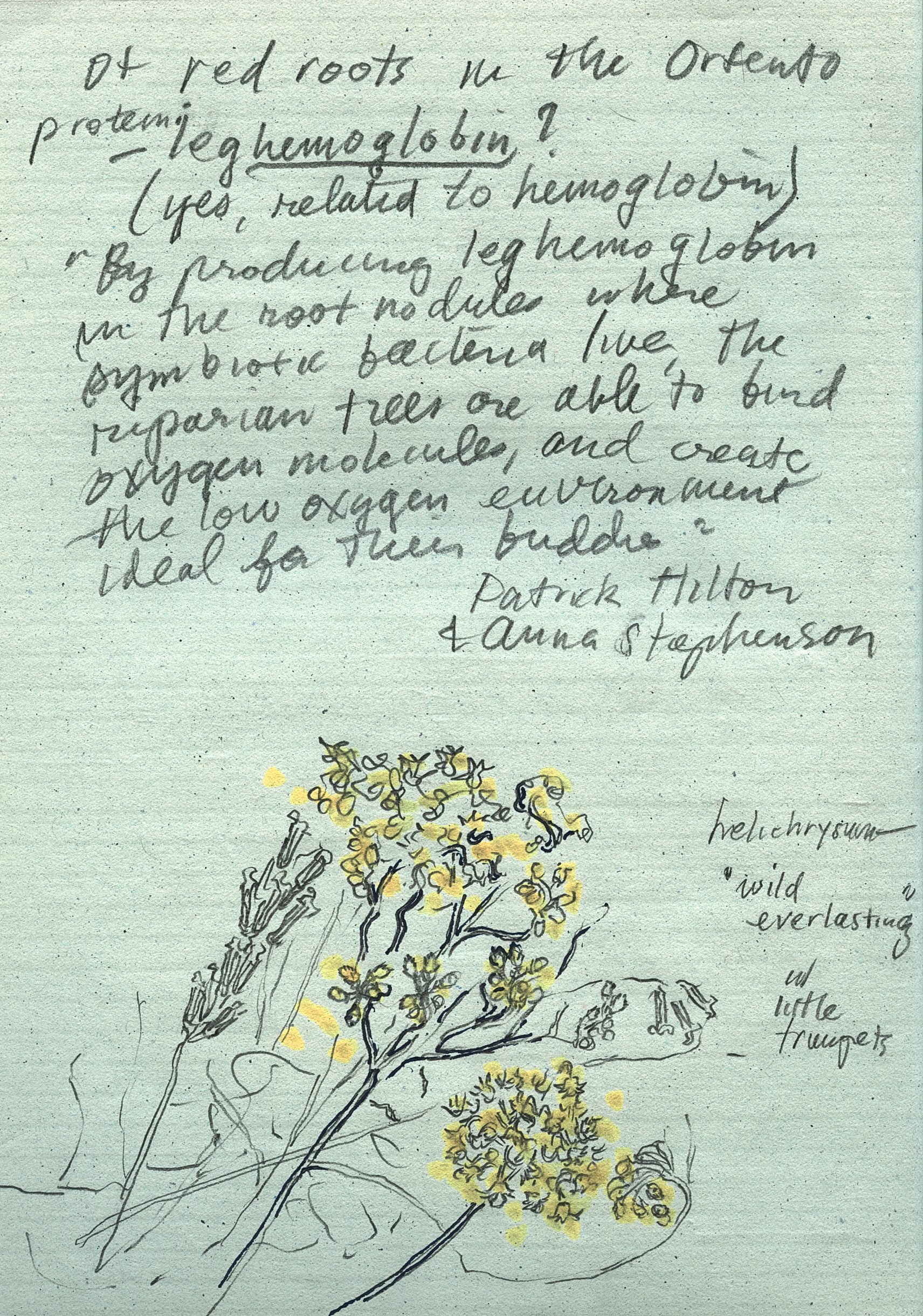 NREG_025.jpg