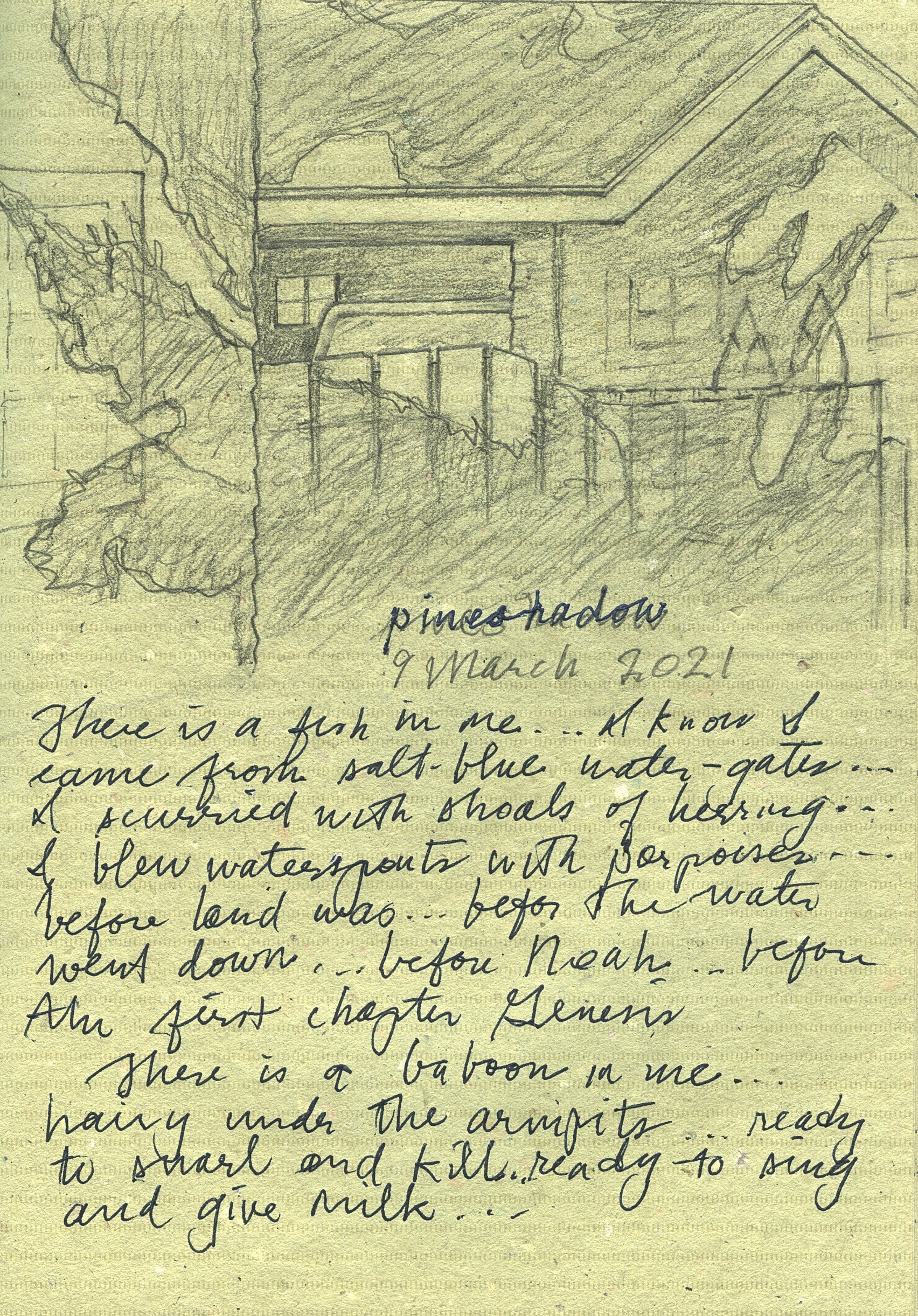Sandburg's "Wilderness" accidentally paired with a sketch of my garage.
