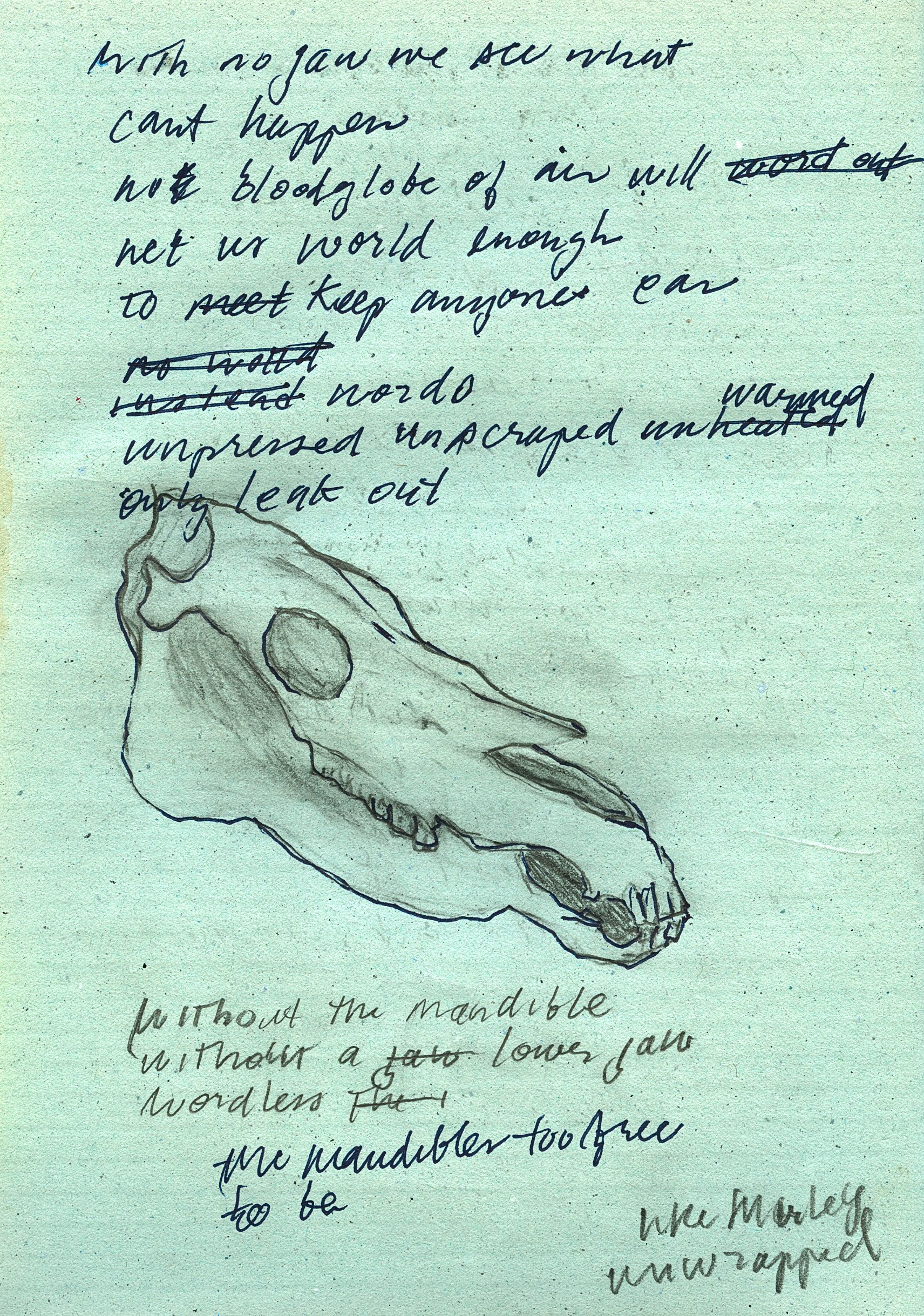 NREG_027.jpg