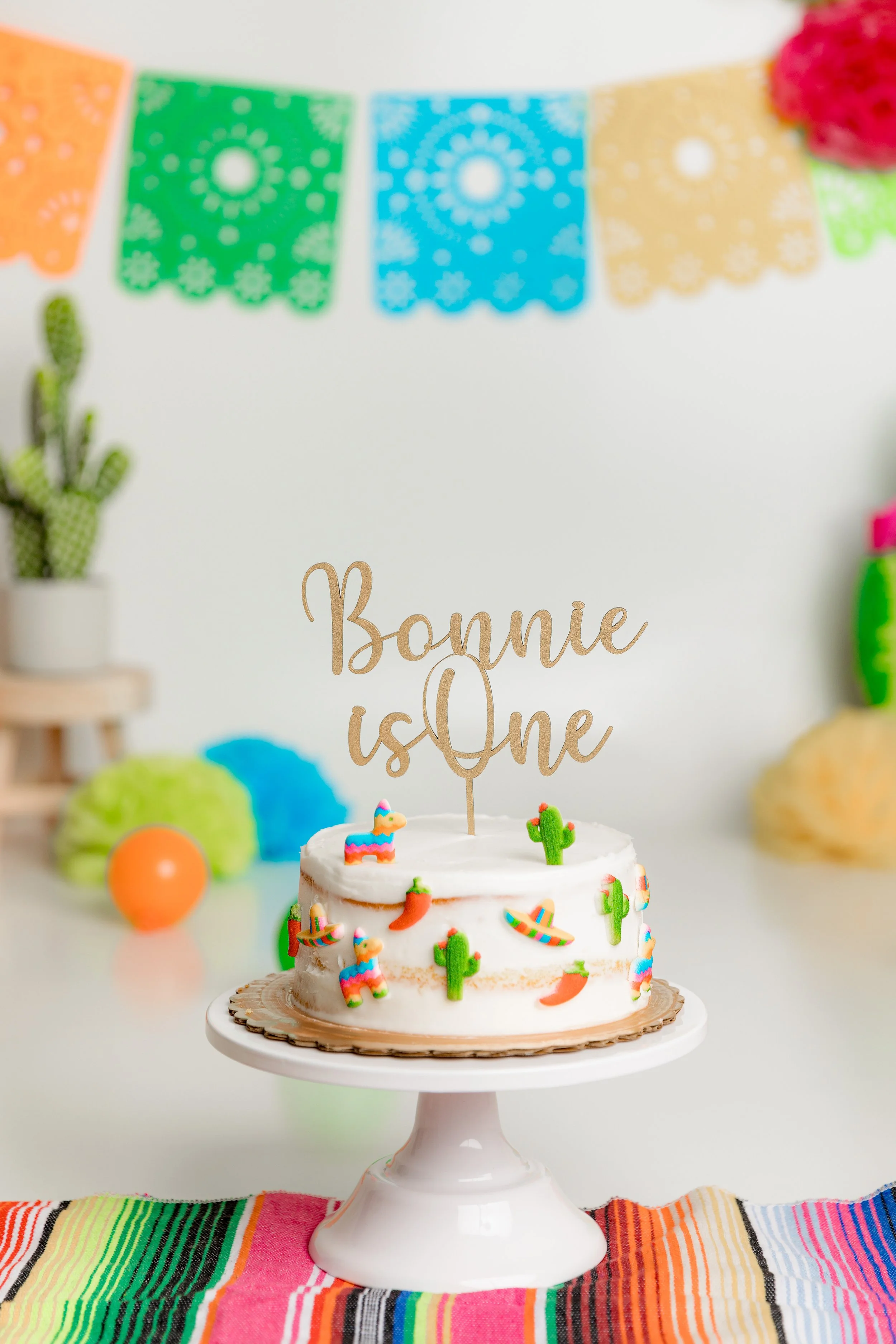 Best NJ Cake Smash Photographer, Bergen County Family Photographer, Best of Bergen, Amazing Photographer NJ, Bergen County Photographer, Bergen County Moms, Preferred NJ Cake Smash Photographs, Best of New Jersey, 1st Birthday Photography, NJMOM
