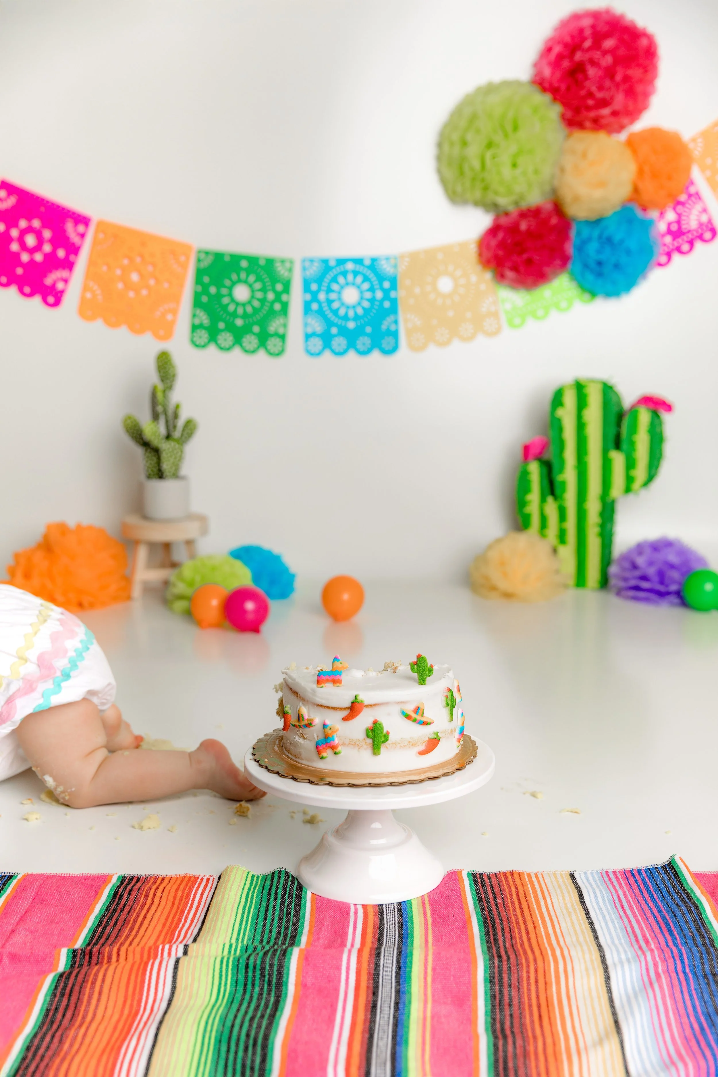 Best NJ Cake Smash Photographer, Bergen County Family Photographer, Best of Bergen, Amazing Photographer NJ, Bergen County Photographer, Bergen County Moms, Preferred NJ Cake Smash Photographs, Best of New Jersey, 1st Birthday Photography, NJMOM