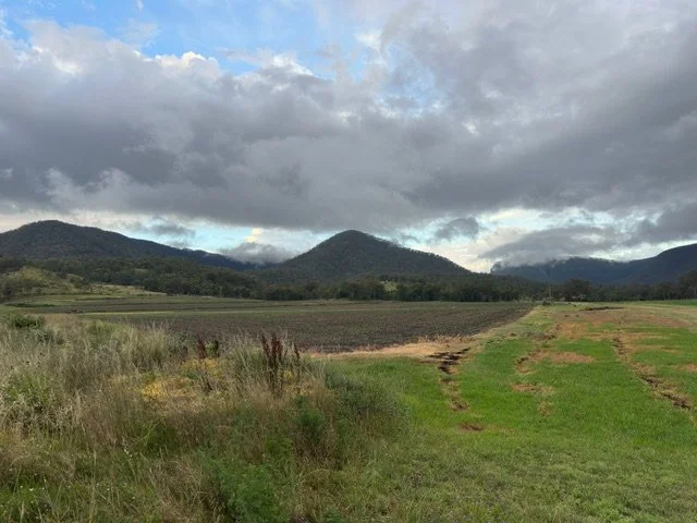 Killarney Bushcare AGM + 2026 Planning