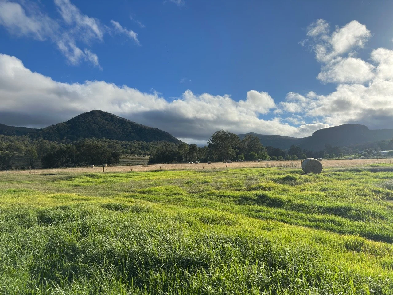 Strange happenings in Killarney