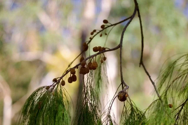 Food map for our glossies
