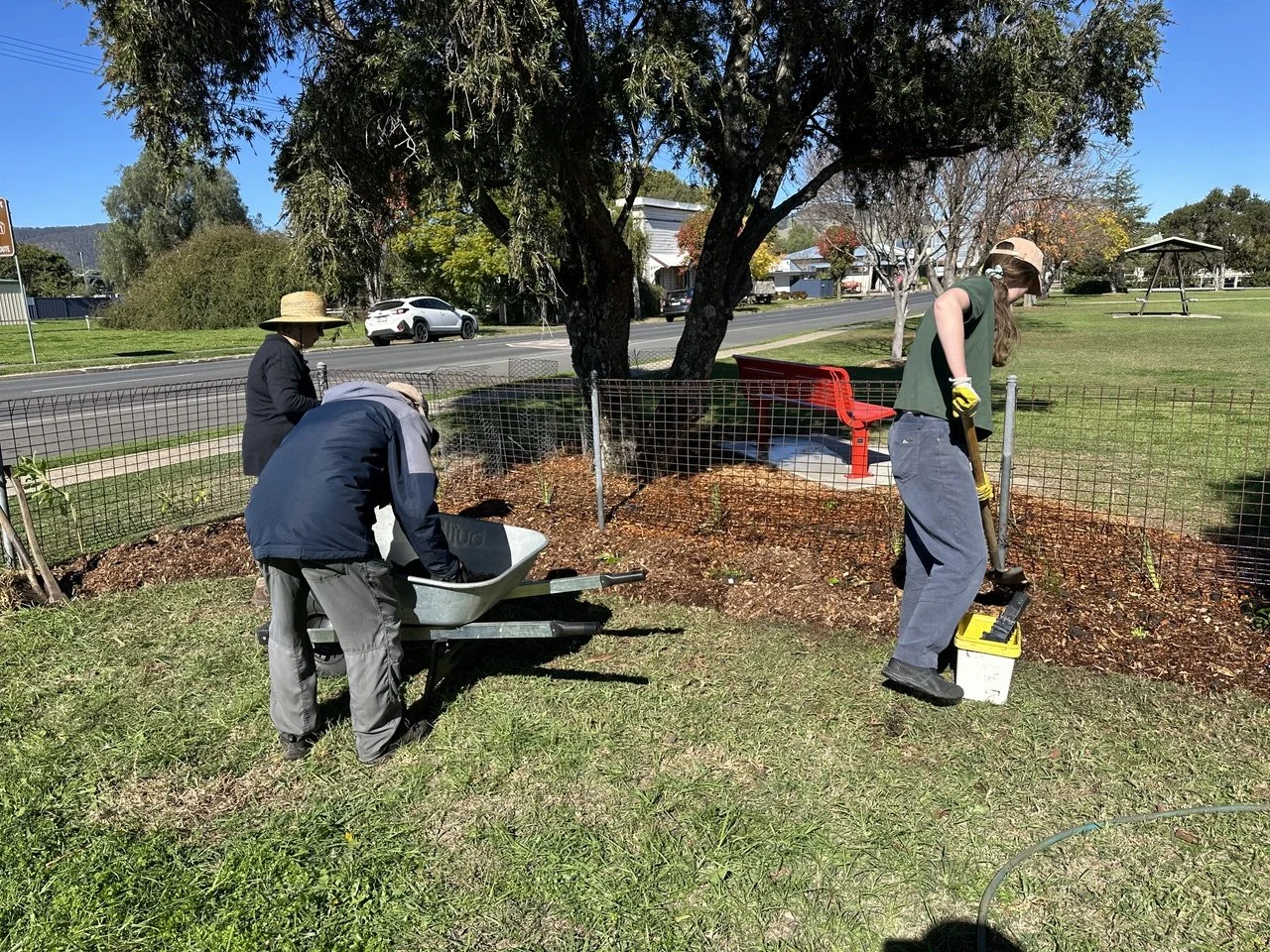 Greening the red bench
