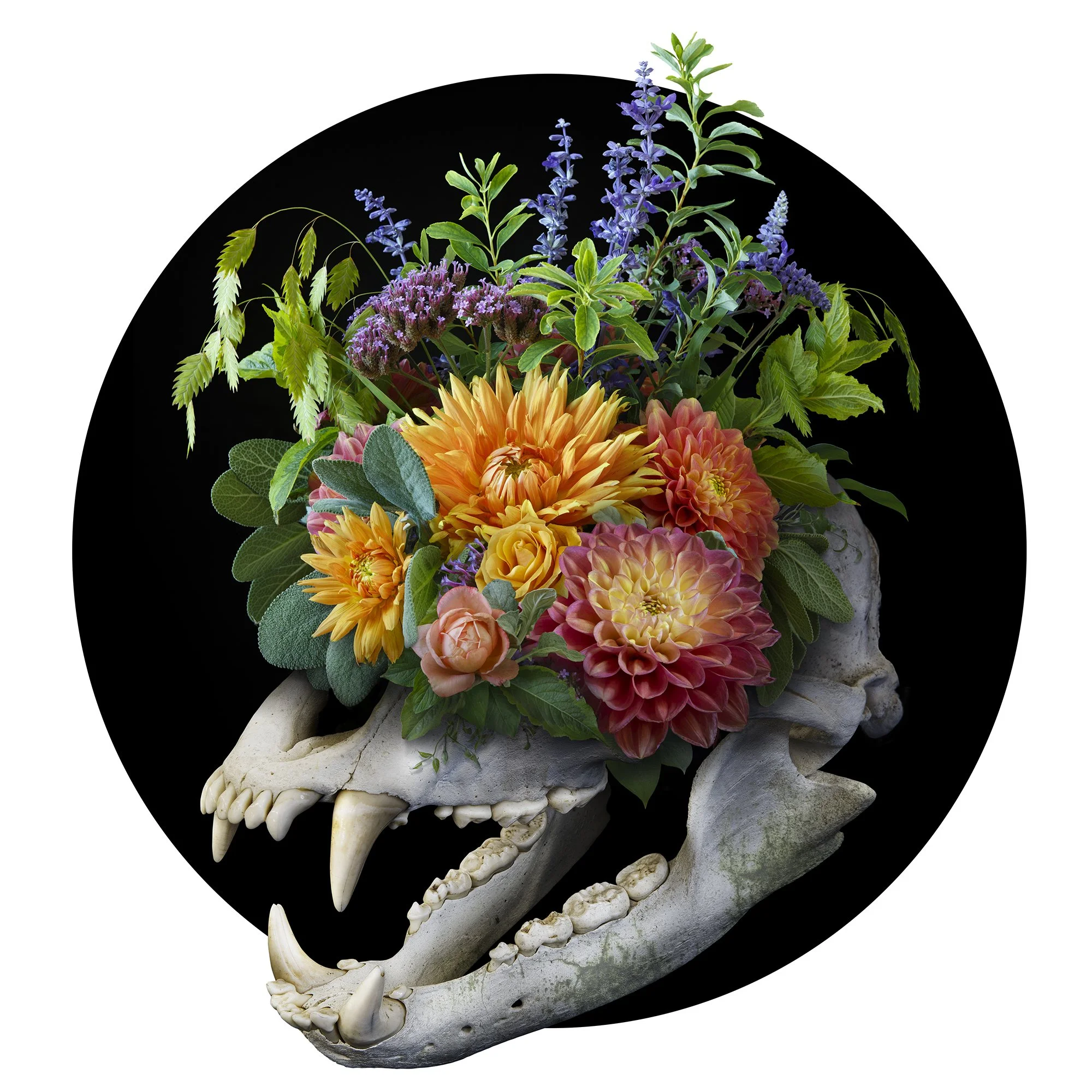 Vanitas_I.jpg