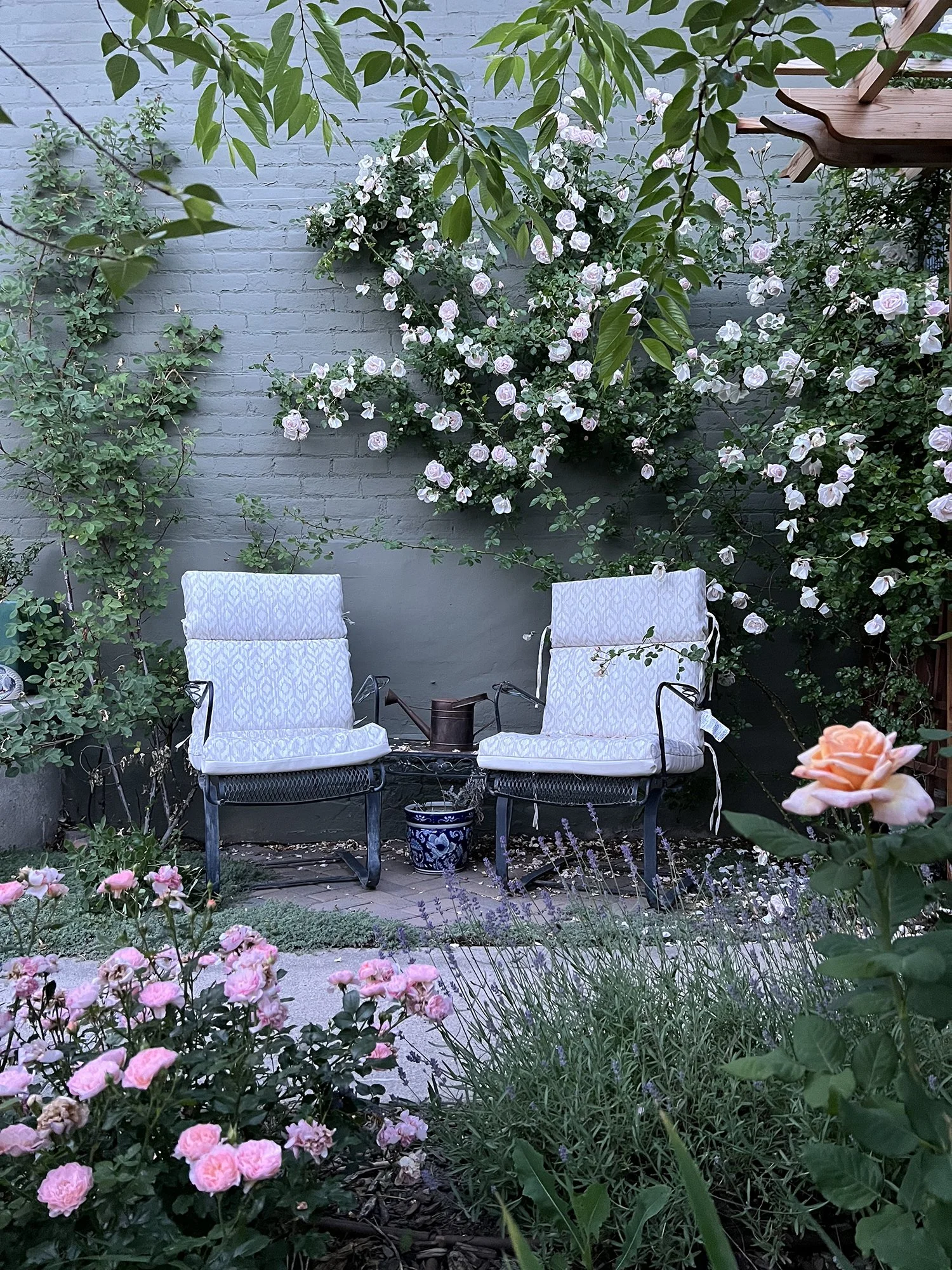 Garden_3.jpg