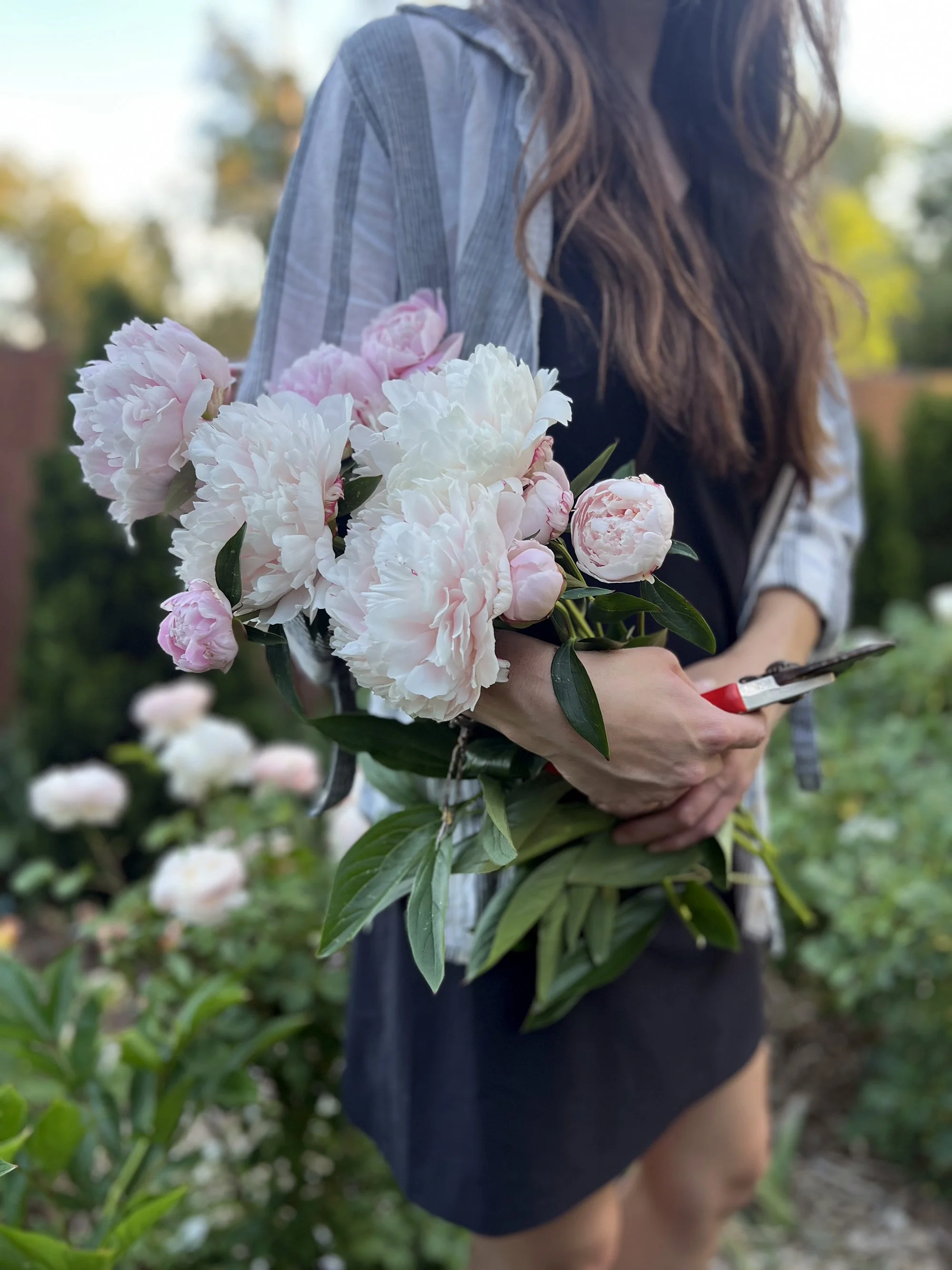 Flower Cuttings
