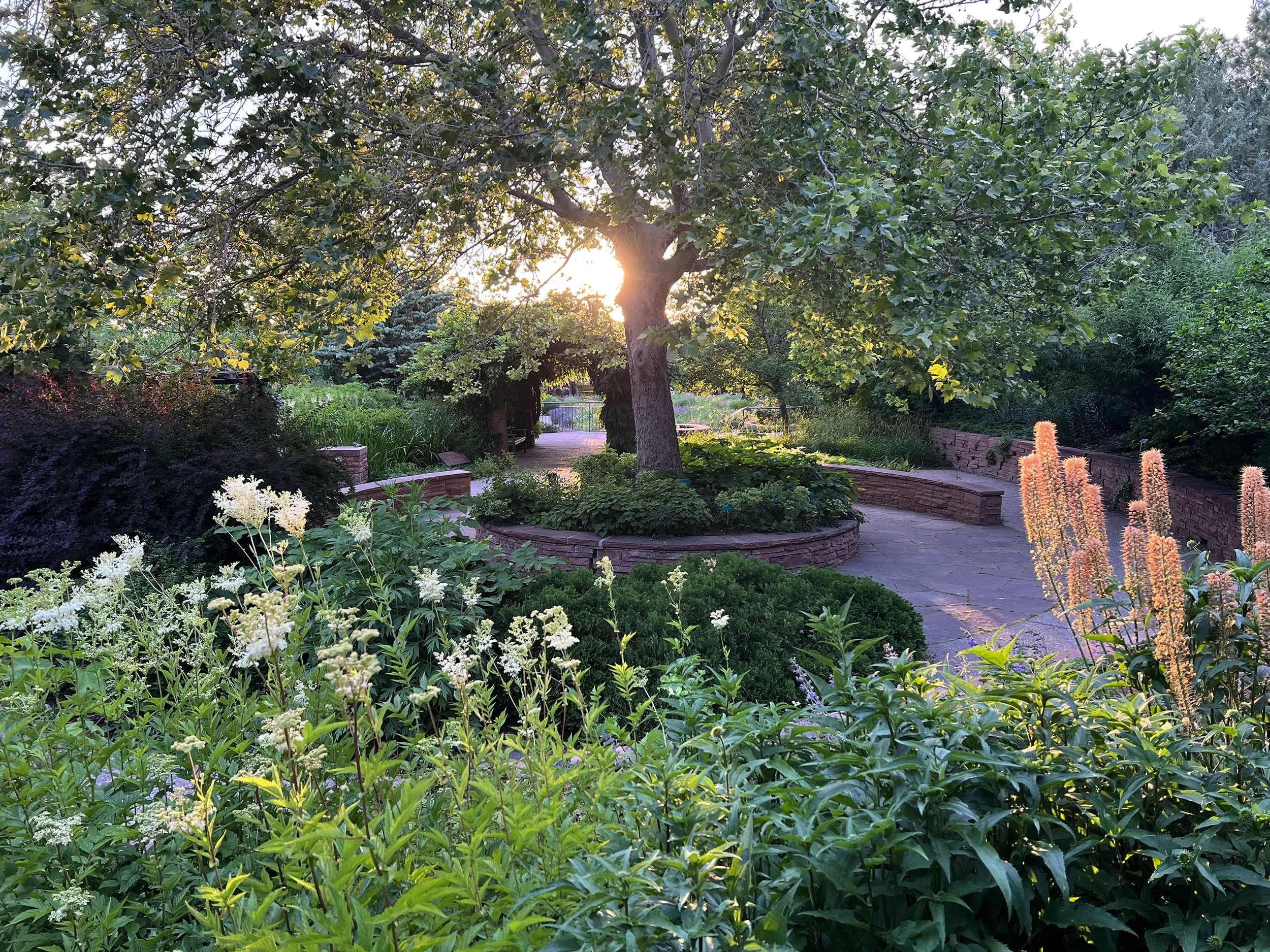 Red Butte Garden