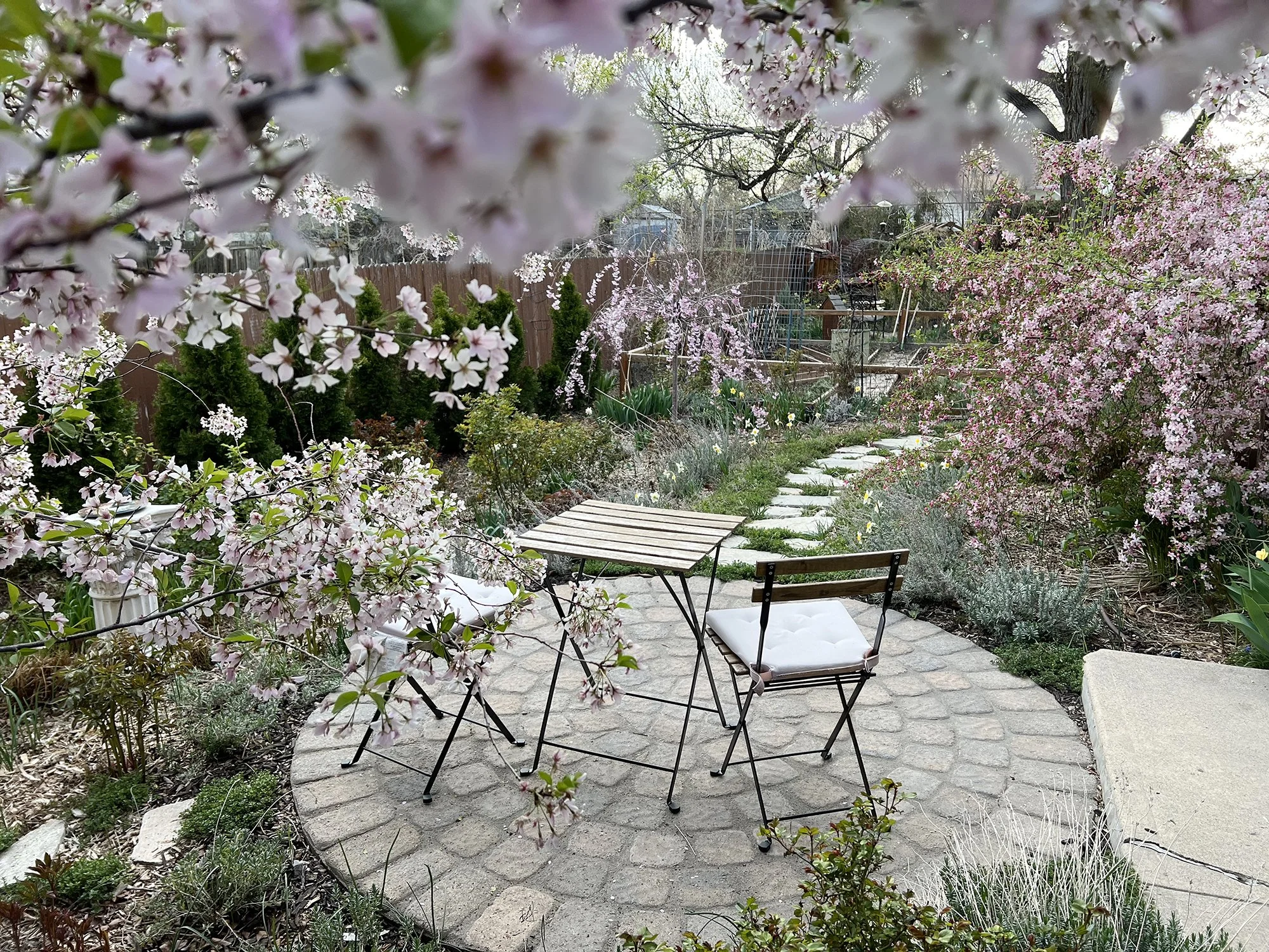 Garden_14.jpg