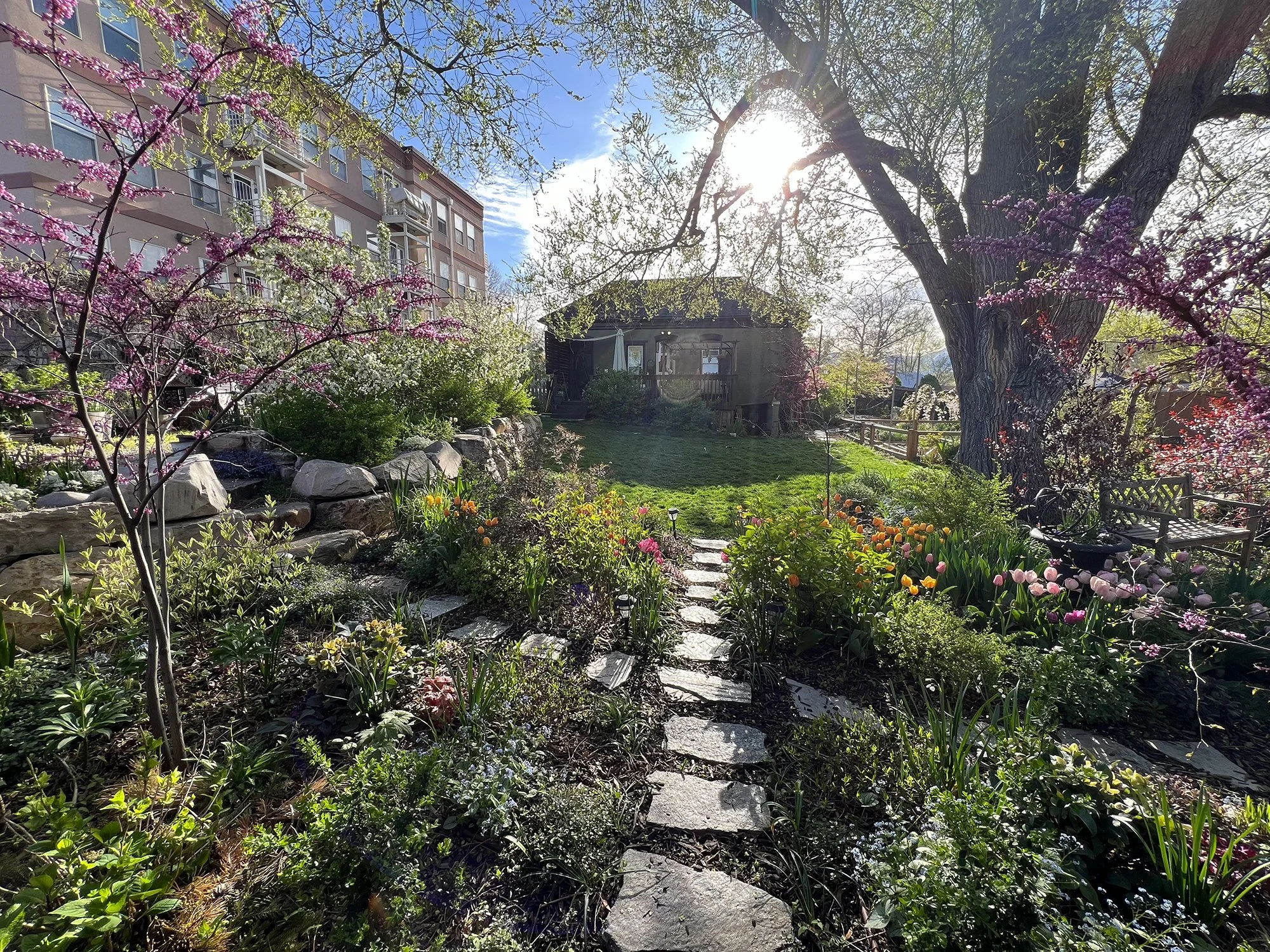 Garden_7.jpg