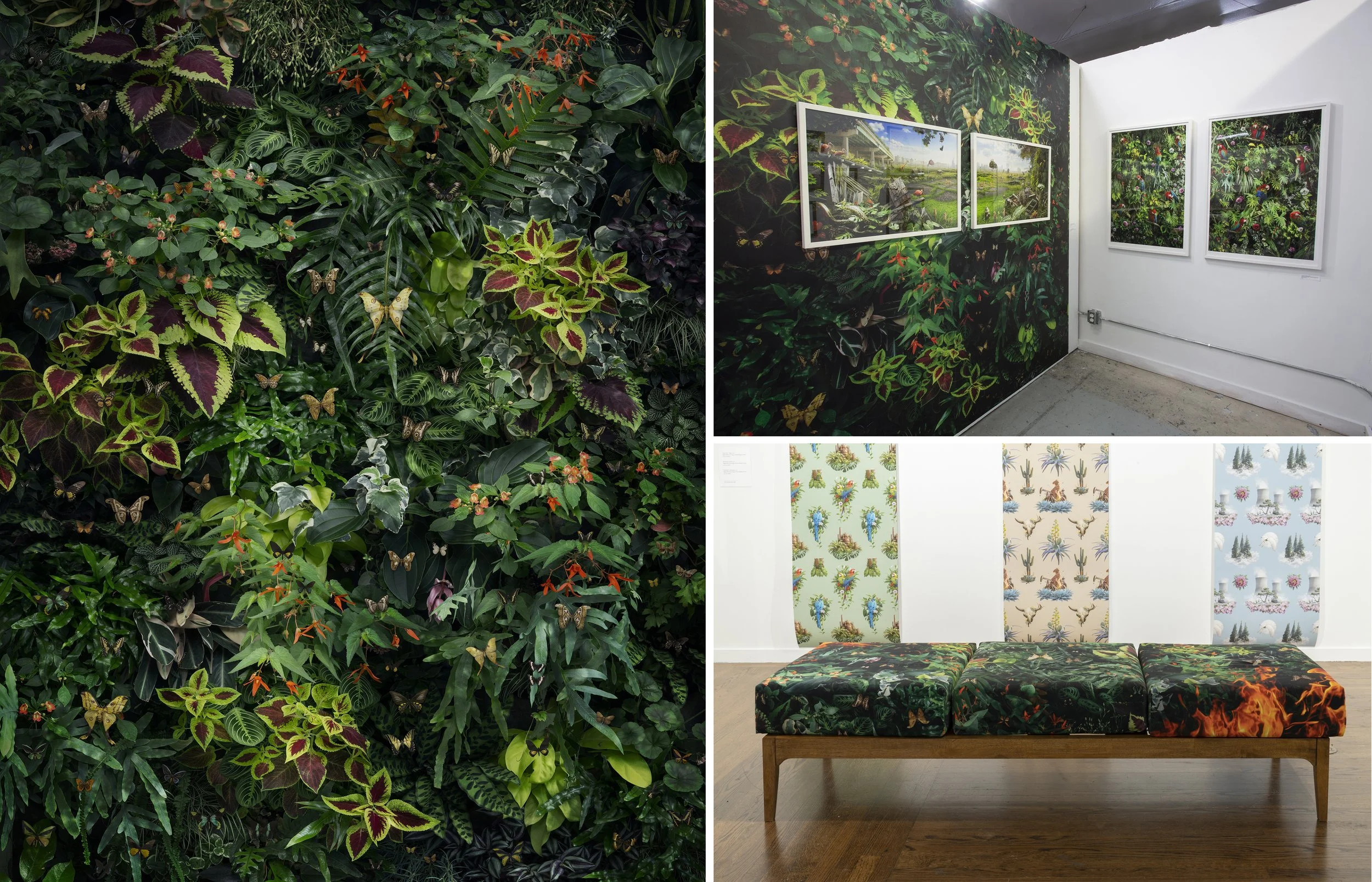 "Rewilding" - Erosion Gallery