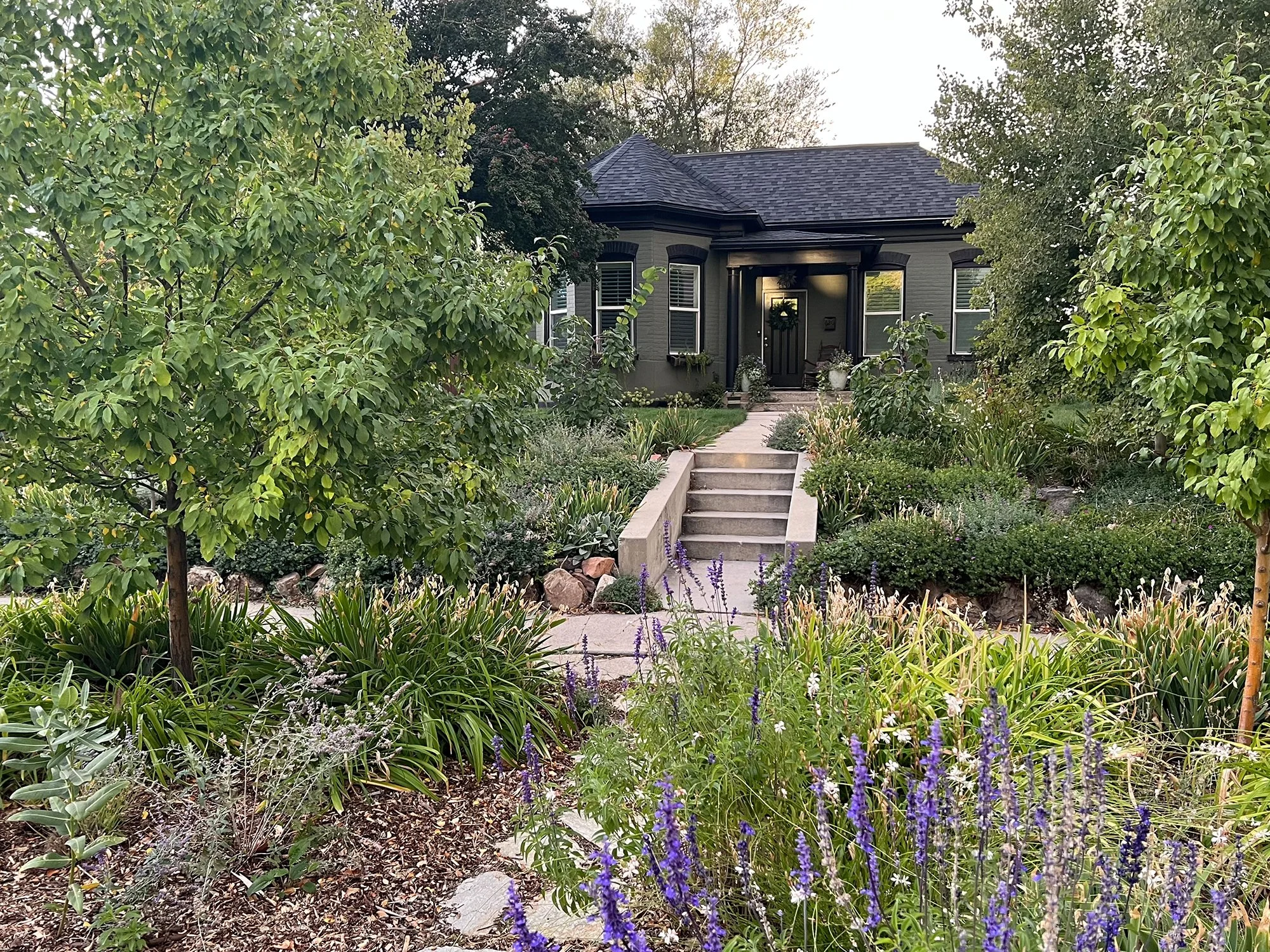 Garden_11.jpg