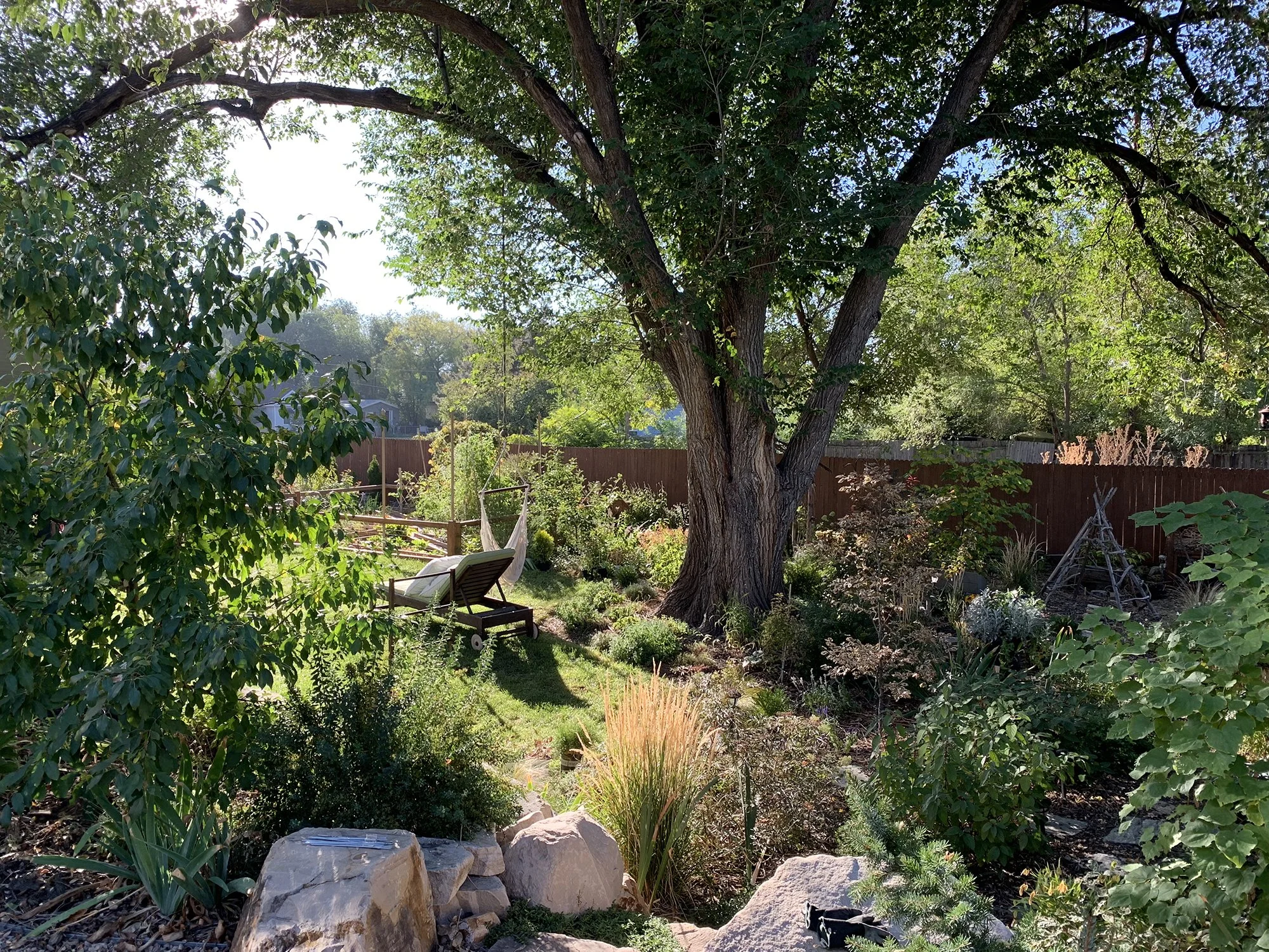 Garden_8.jpg