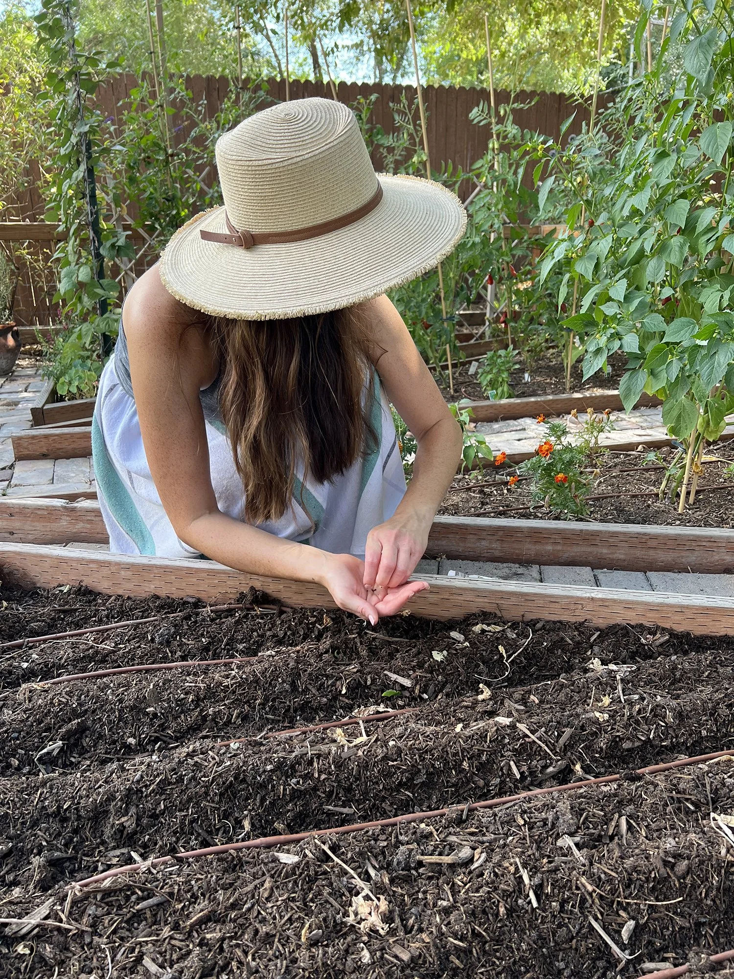 Garden_10.jpg