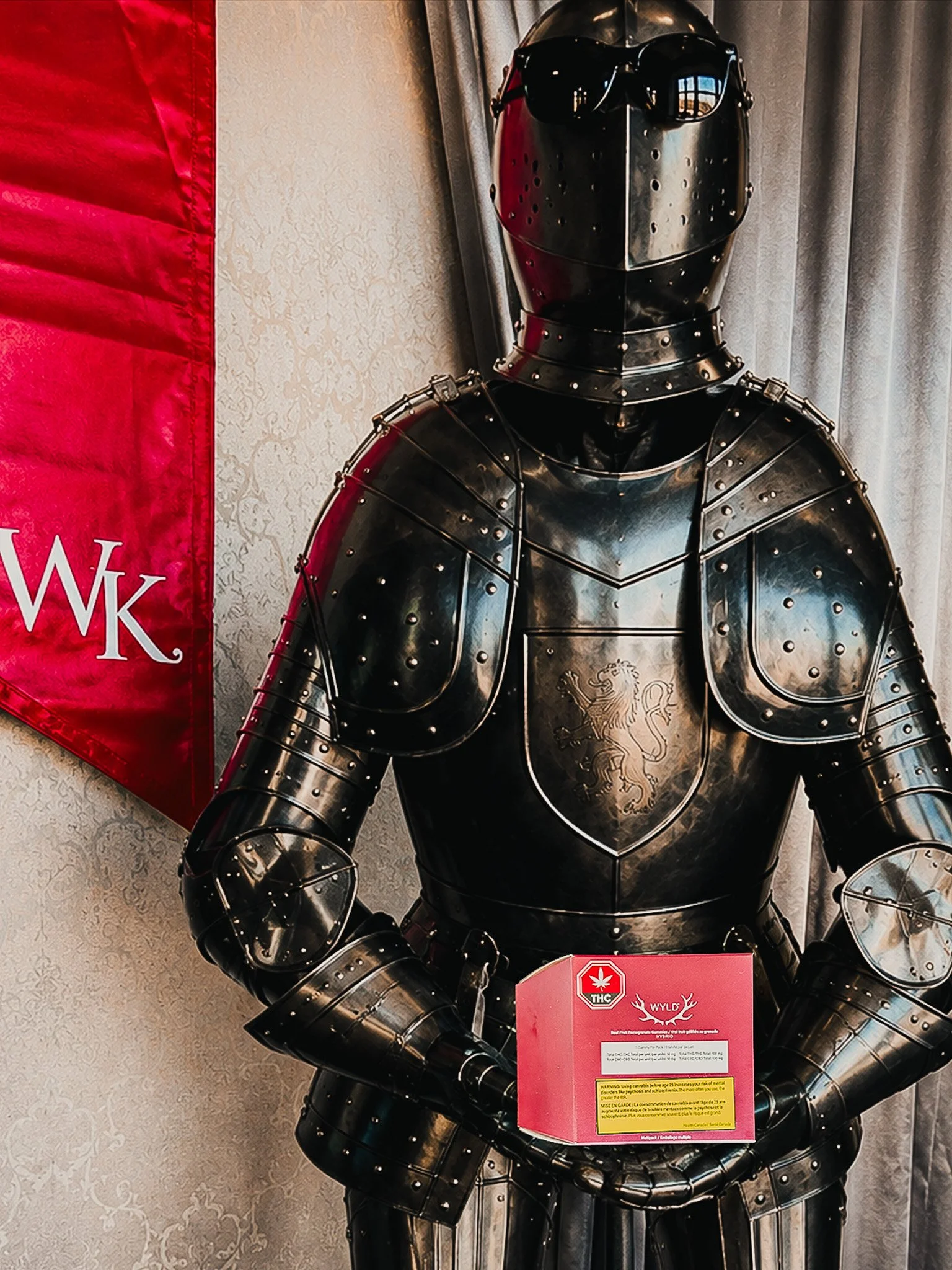 A suit of armor displayed on a wall, with a red flag on the left that has white initials 'Wk' and a person in the background. The armor is metallic and includes a helmet with goggles, a breastplate with a lion crest, and arm and leg protection.