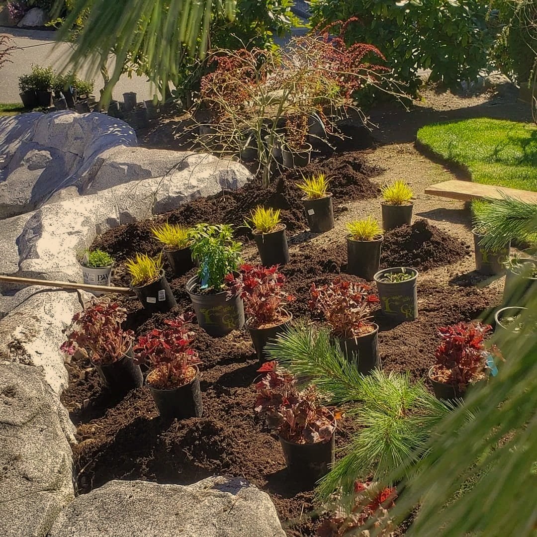 gorman-landscaping-flowerbeds-planting.jpg