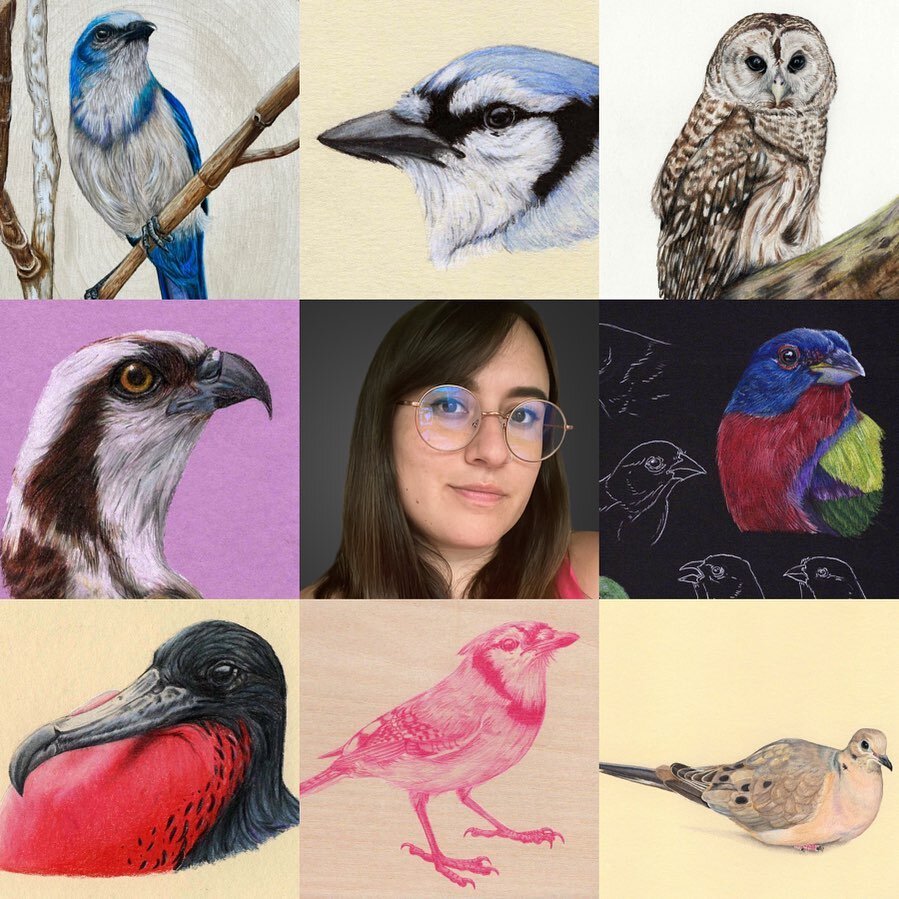 The first half of 2023 may have been an emotional rollercoaster for me personally, but the second half was a total blast. But one thing&rsquo;s for sure, this was quite a year for me and birds. I created over 140 bird drawings and saw over 130 specie