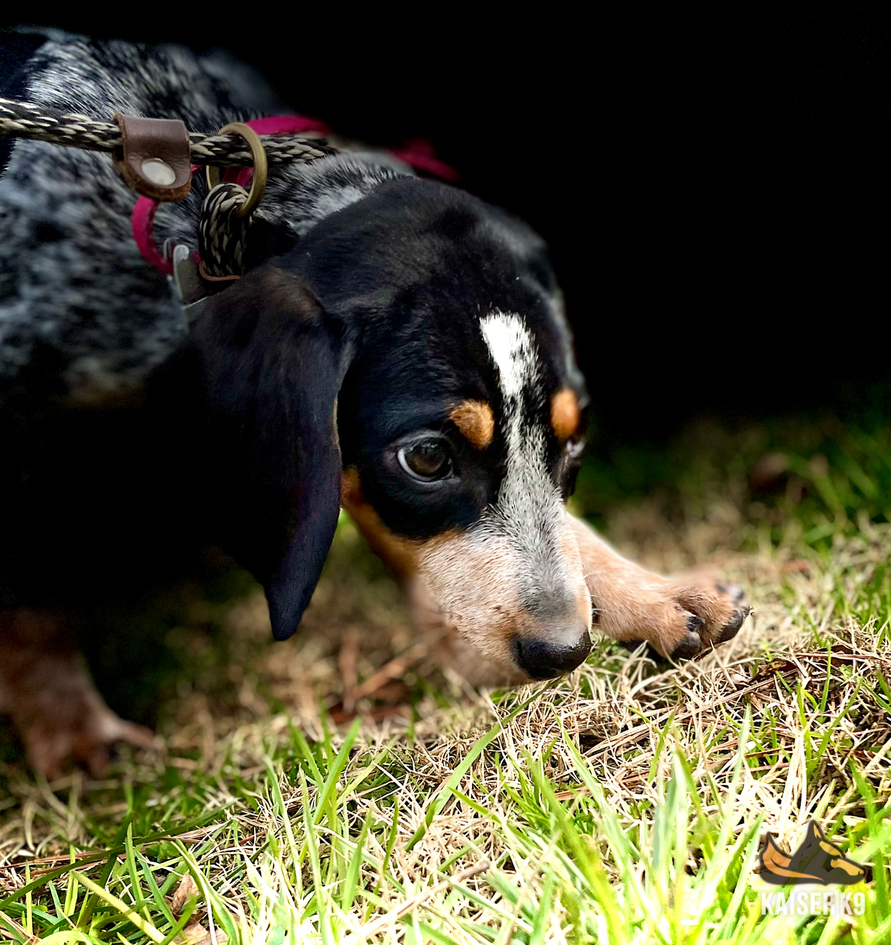 incollage_save 2.PNG