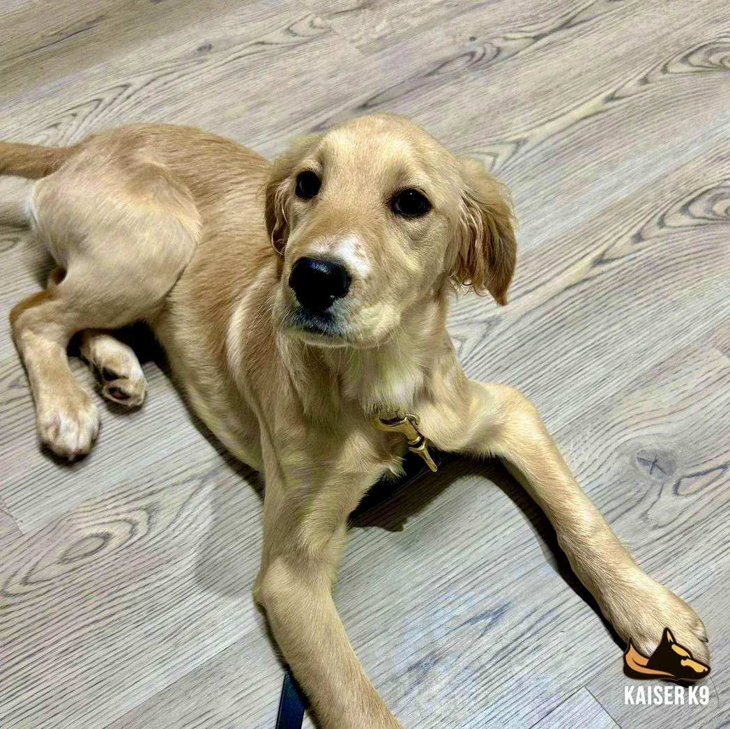 incollage_save 7.jpg