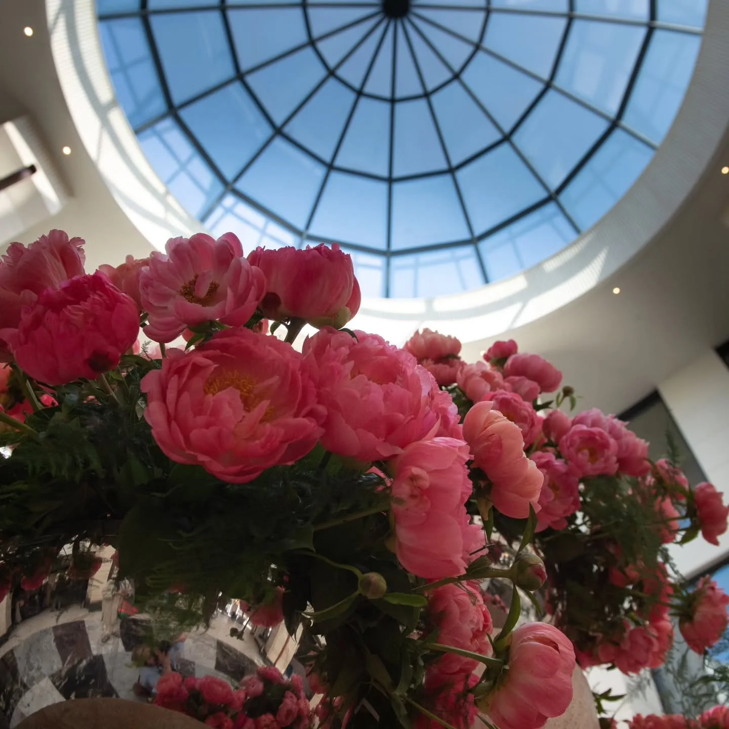 One time I got approached by a client who trully hated peonies.  She had a pretty big job but garden roses were also not her favourite.  I deeply wished she would find another florist for the job and she did! I was so happy 

#peonies #hotelier #hote