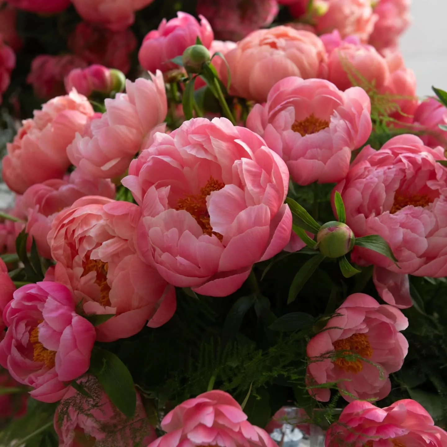 In our studio, we do not count stems or negotiate on pricing.
We chase the vision.

Because the work we do was never meant to be reduced to quantities, lists, or line items.
It begins long before flowers arrive &mdash; with listening, observing, and 