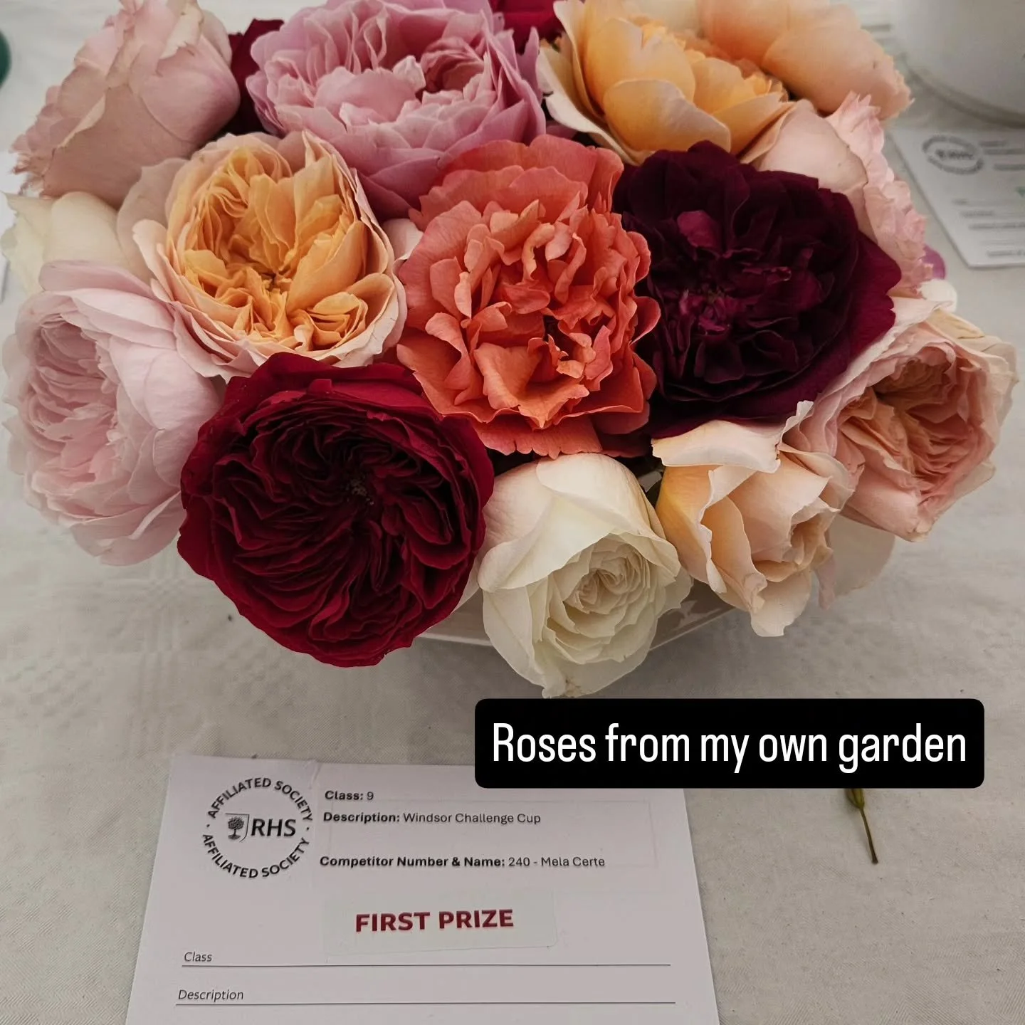 Throwback to @royalwindsorflowershow when I won First Price for my gorgeous roses that I grew in my own garden in UK. I love gardening so so much!