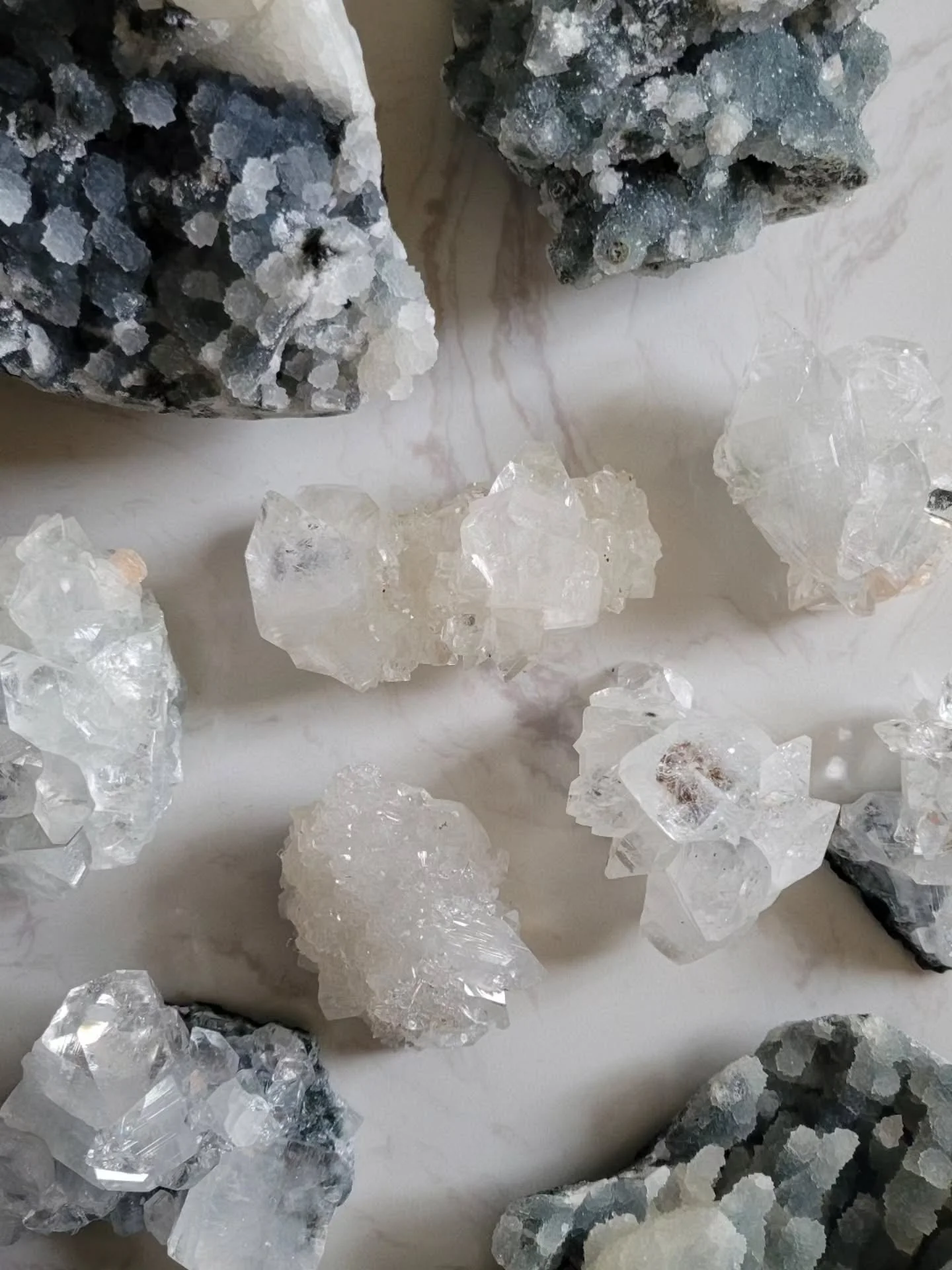 EVERYTHING 50% OFF 📍 Link in bio to shop the closing sale #closingsale