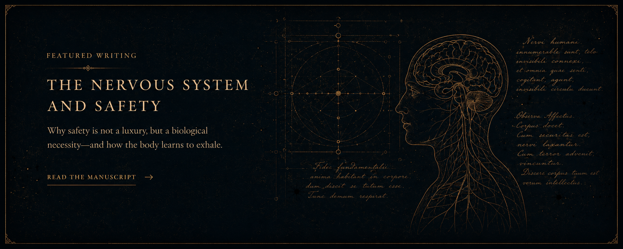 Digital illustration of the human nervous system with handwritten Latin text and a profile outline of a human head in gold on a dark textured background, titled 'The Nervous System and Safety'.
