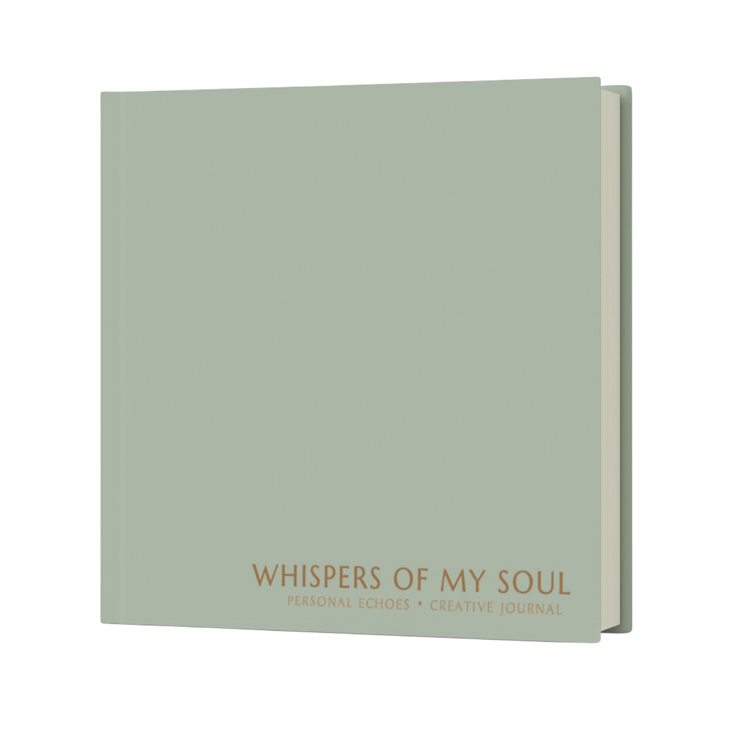 Untitled design (7).png