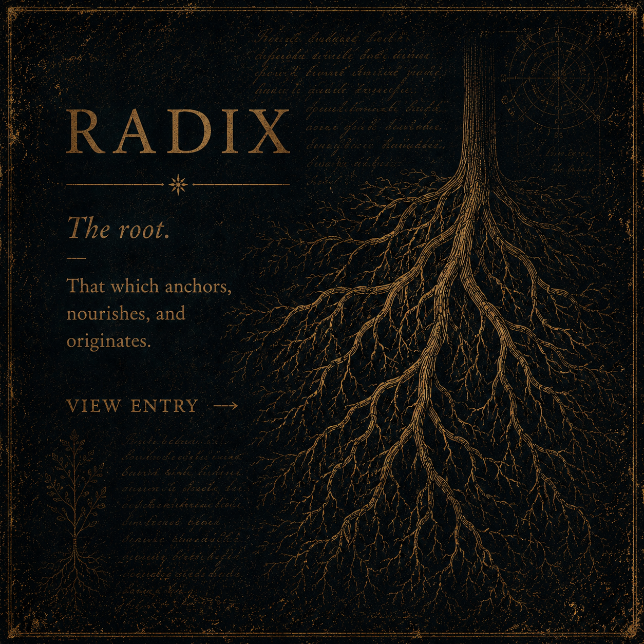 A dark-themed educational poster with a golden root diagram and handwriting, featuring the word 'RADIX', and text describing it as 'the root' that anchors, nourishes, and originates.