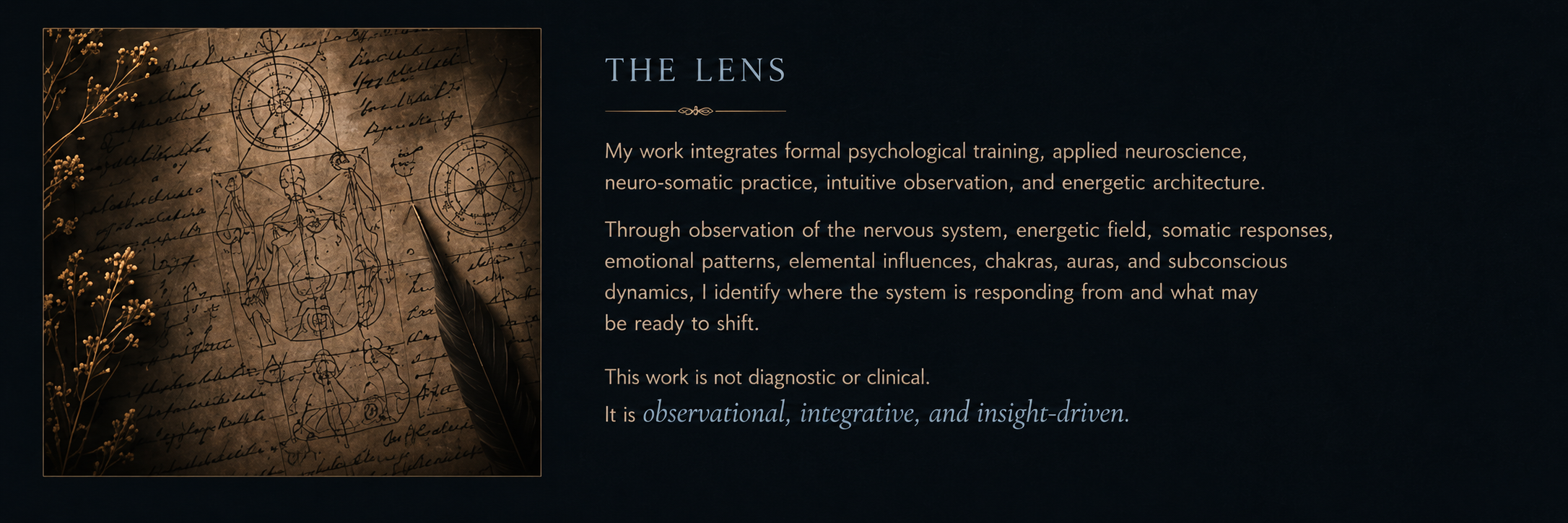 Educational page from DVN THEREPE™ representing nervous system awareness, neuro somatic practice, stress patterns, regulation, and the relationship between body and mind.