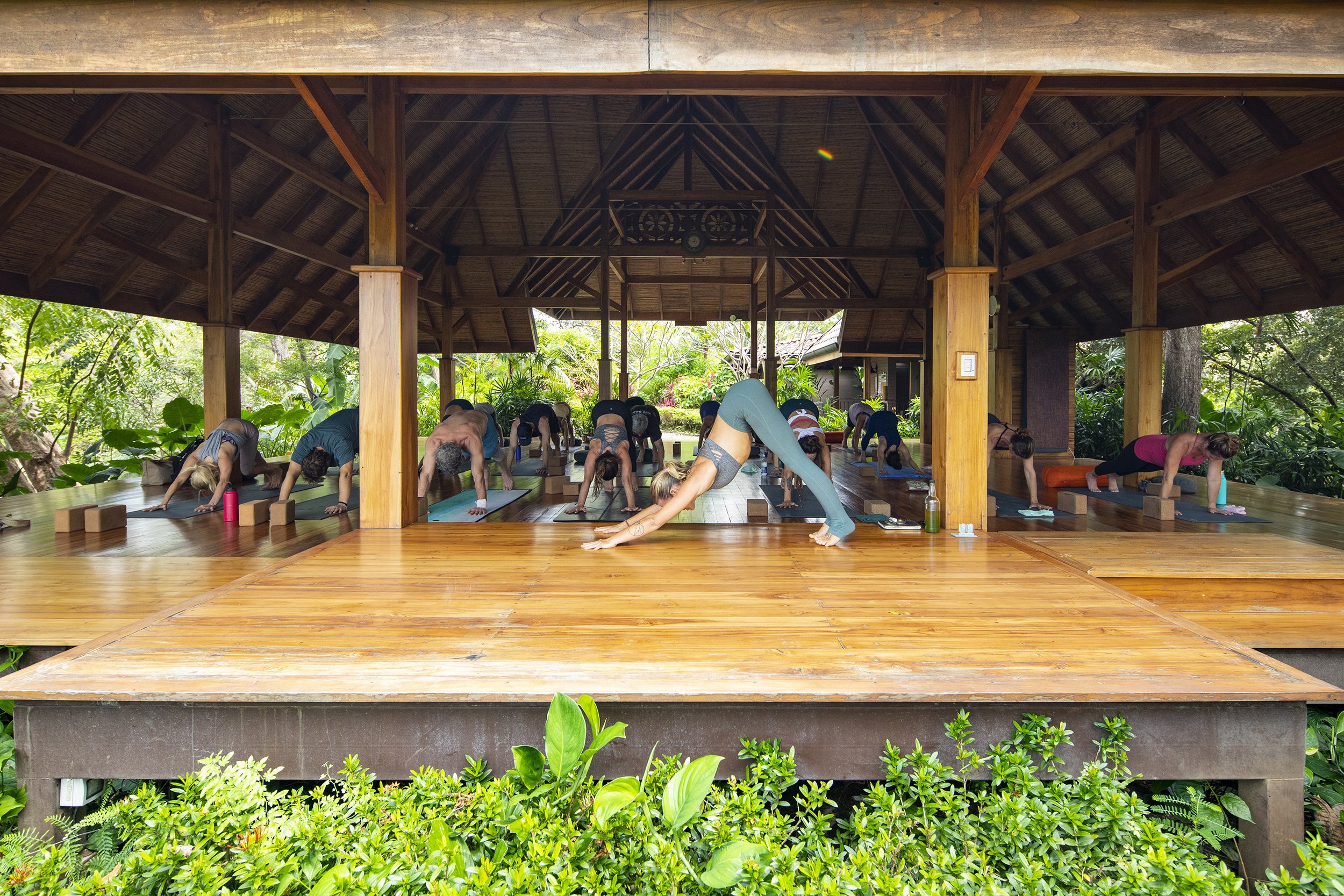 Bodhi_Nov_LOWRes_299.jpg