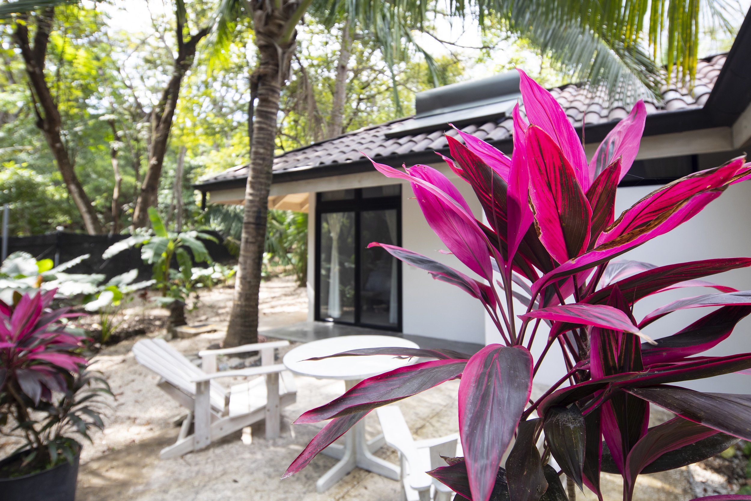 Jungle Room