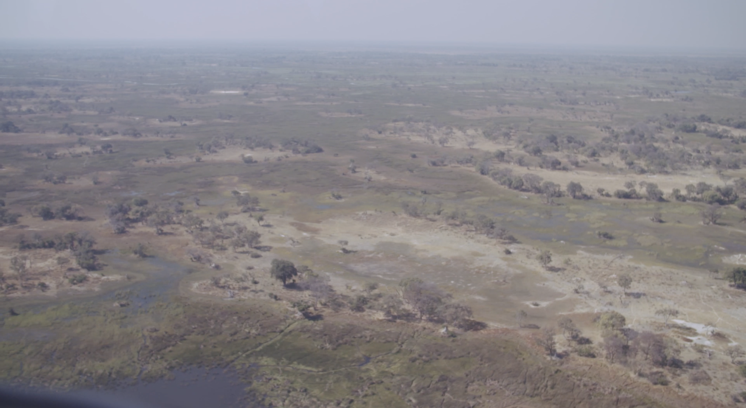 Screen Shot 2022-01-08 at 7.39.38 pm.png