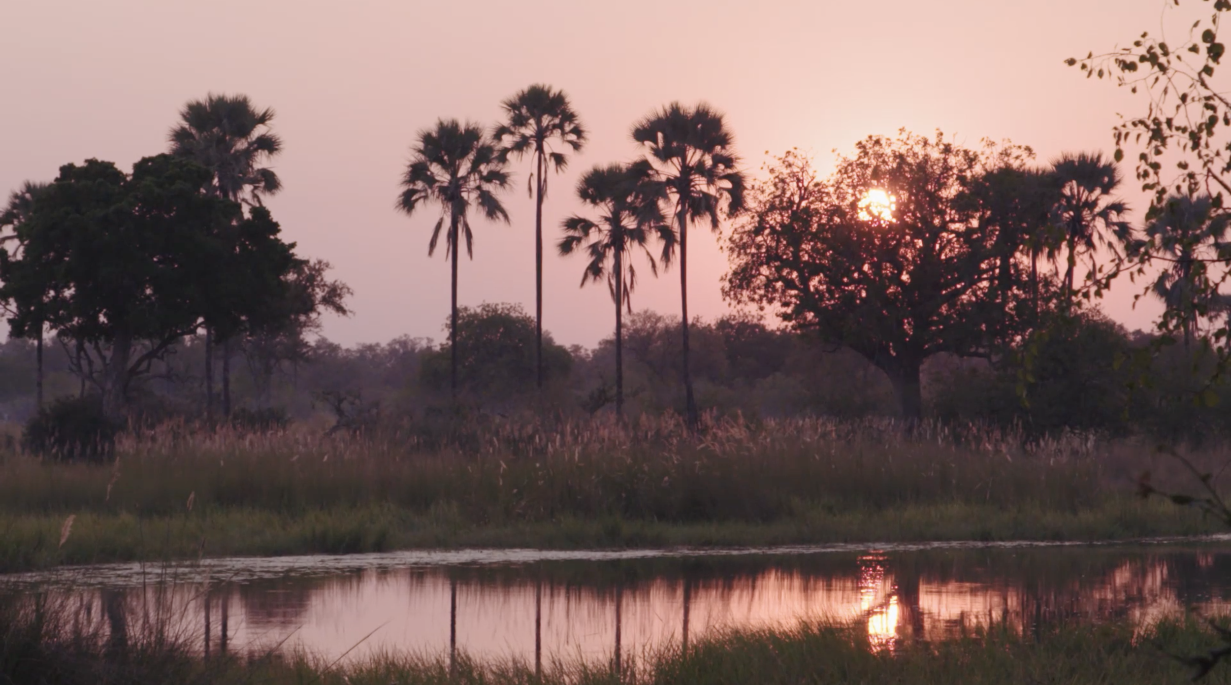 Screen Shot 2022-01-08 at 7.40.03 pm.png