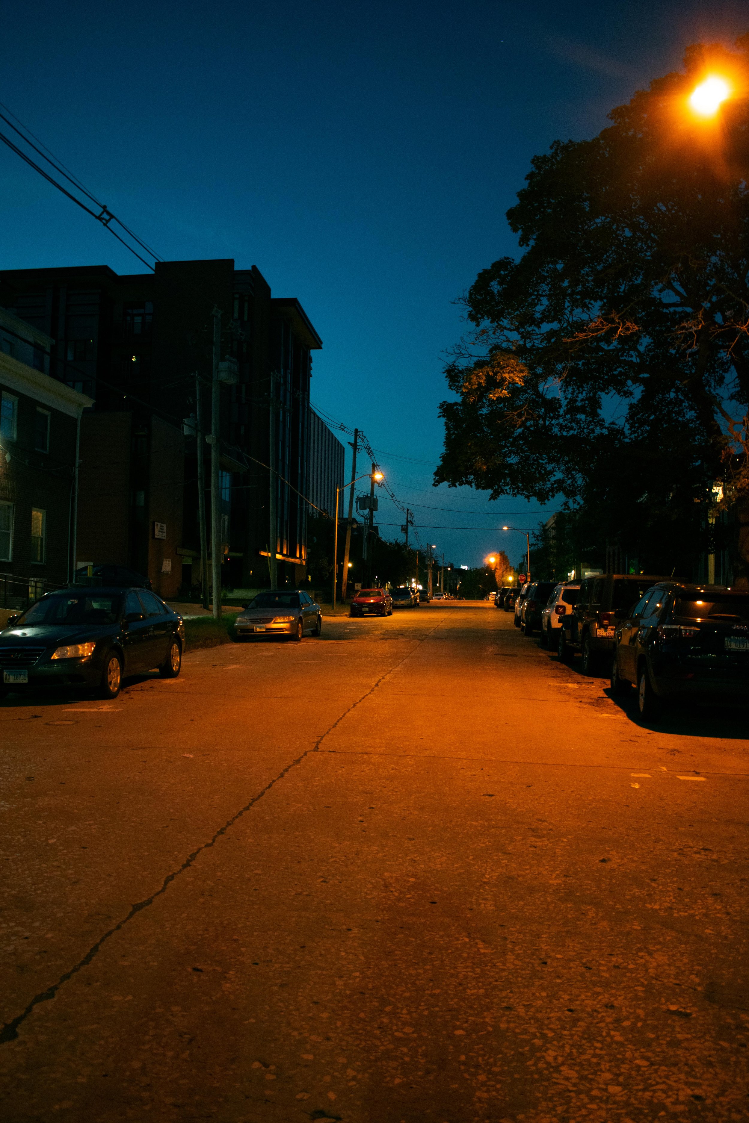 DSC_2070-1 (wecompress.com).jpg