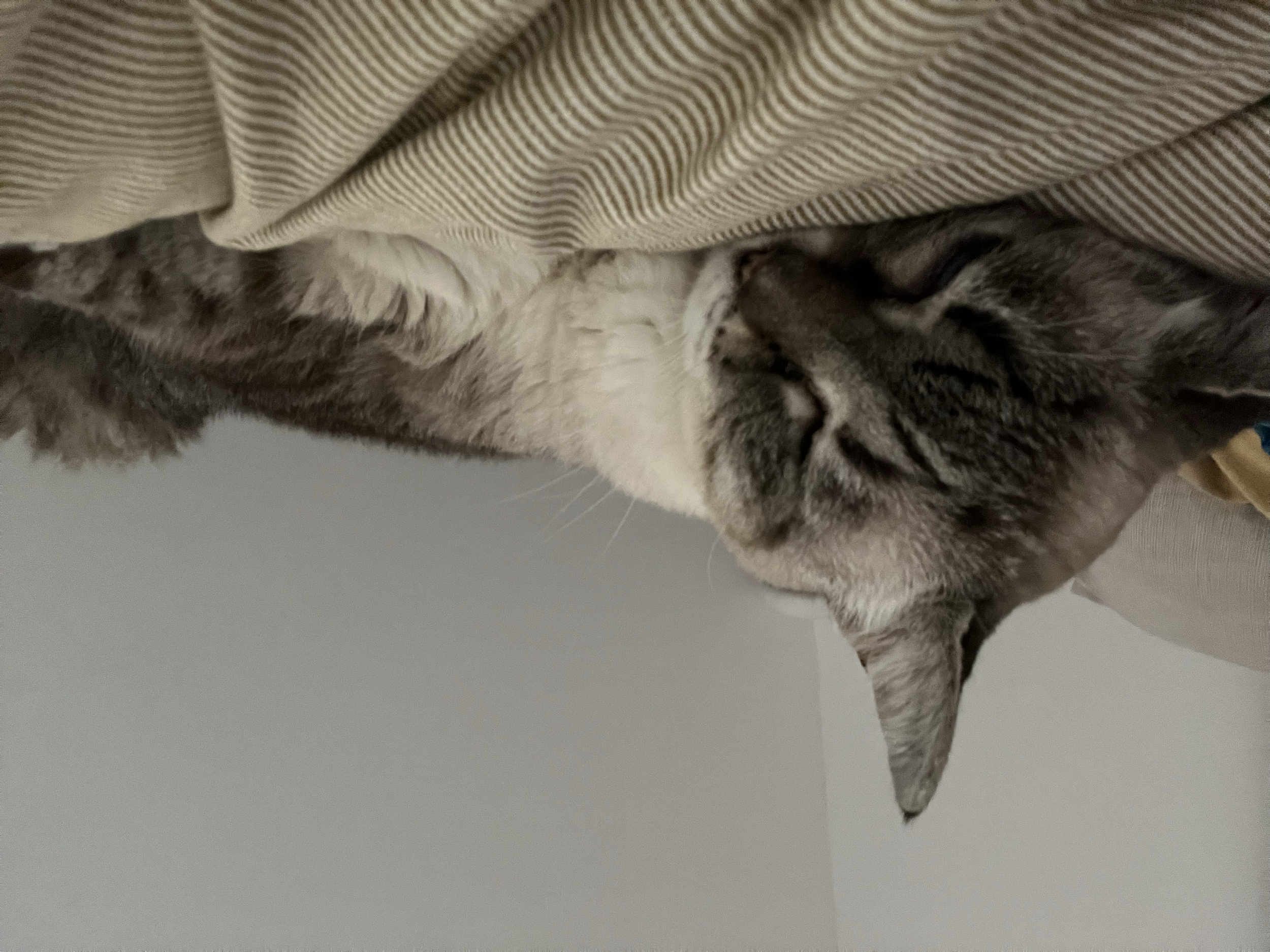 Some music I enjoyed in 2025