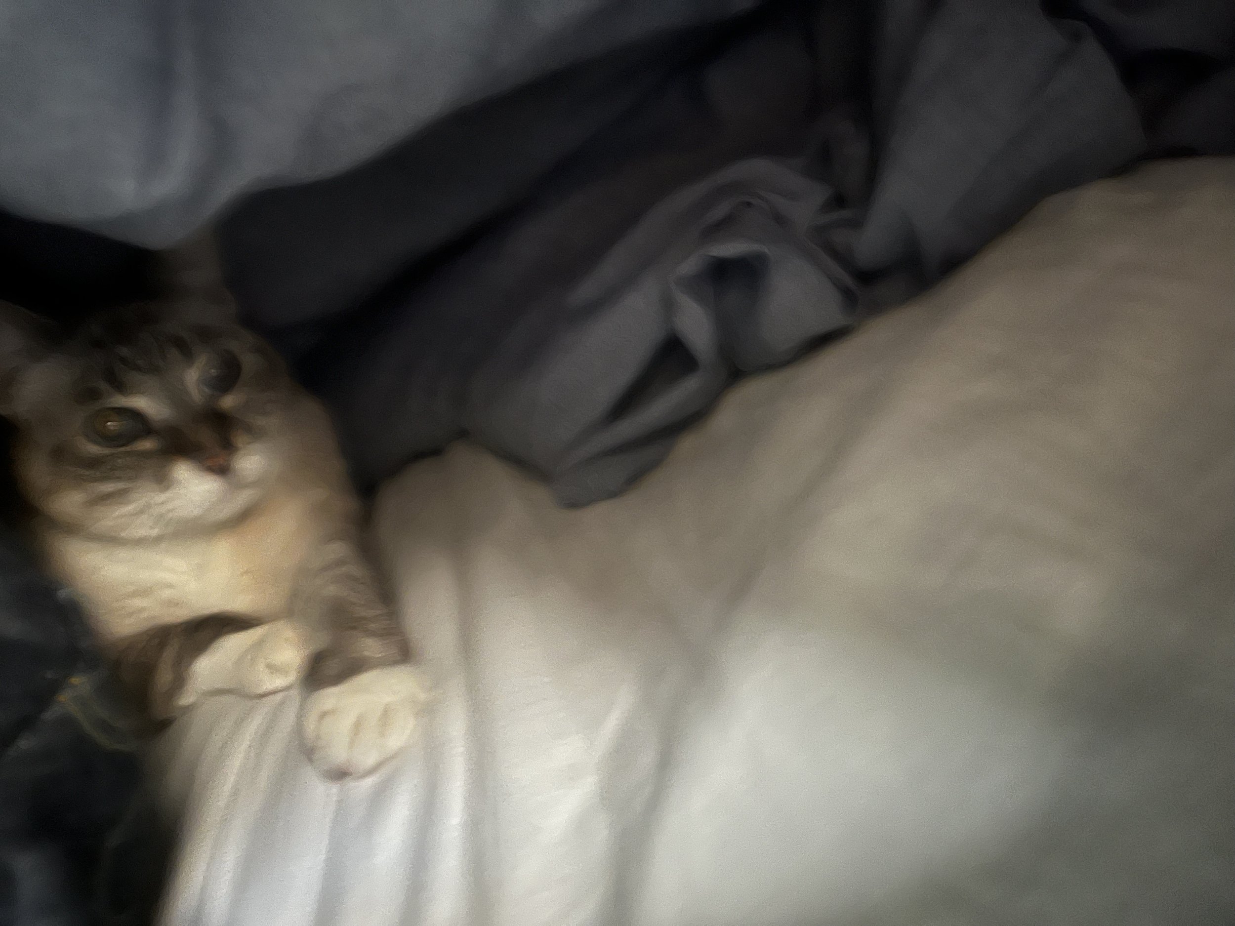 I started painting it’s really slow