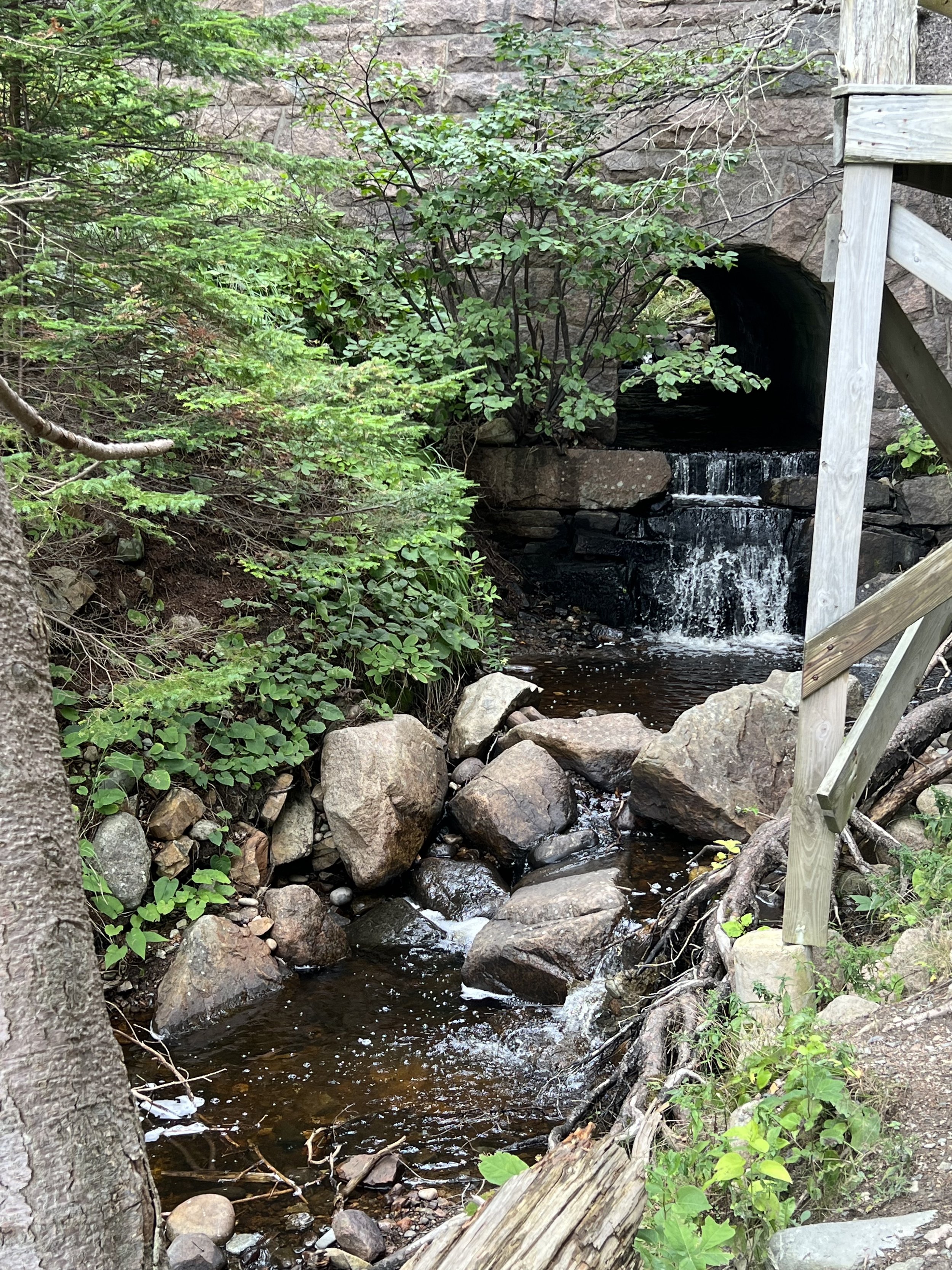 bridge and waterfall.jpeg