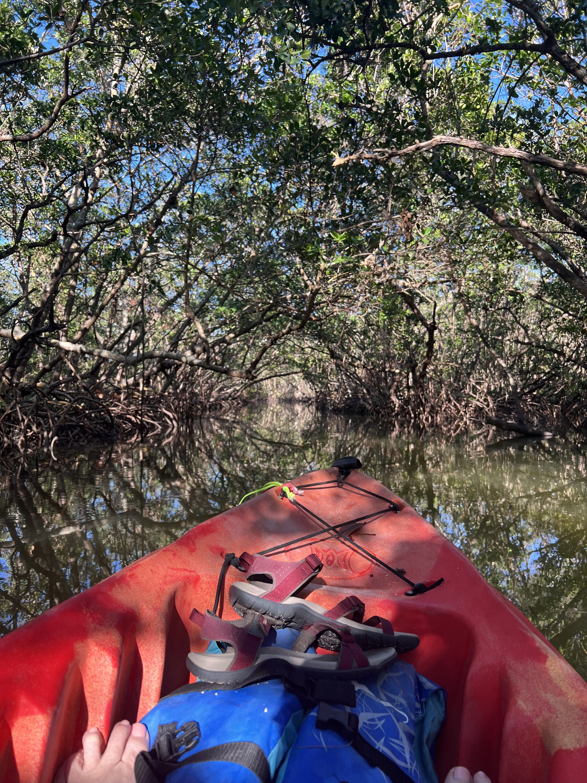 Kayak front view.jpg